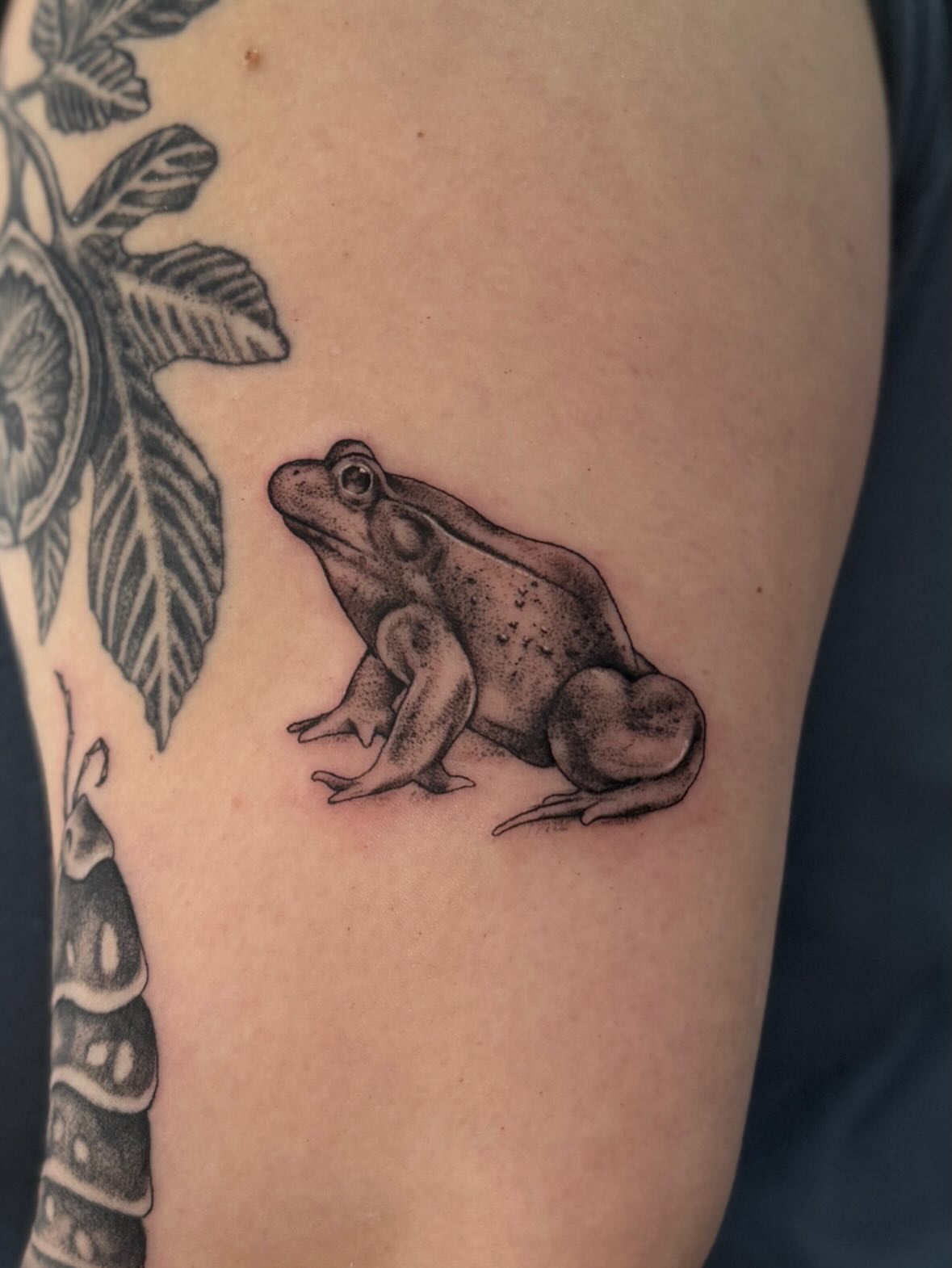 Frog black and grey tattoo on the upper arm by Kamakana Pankiwska