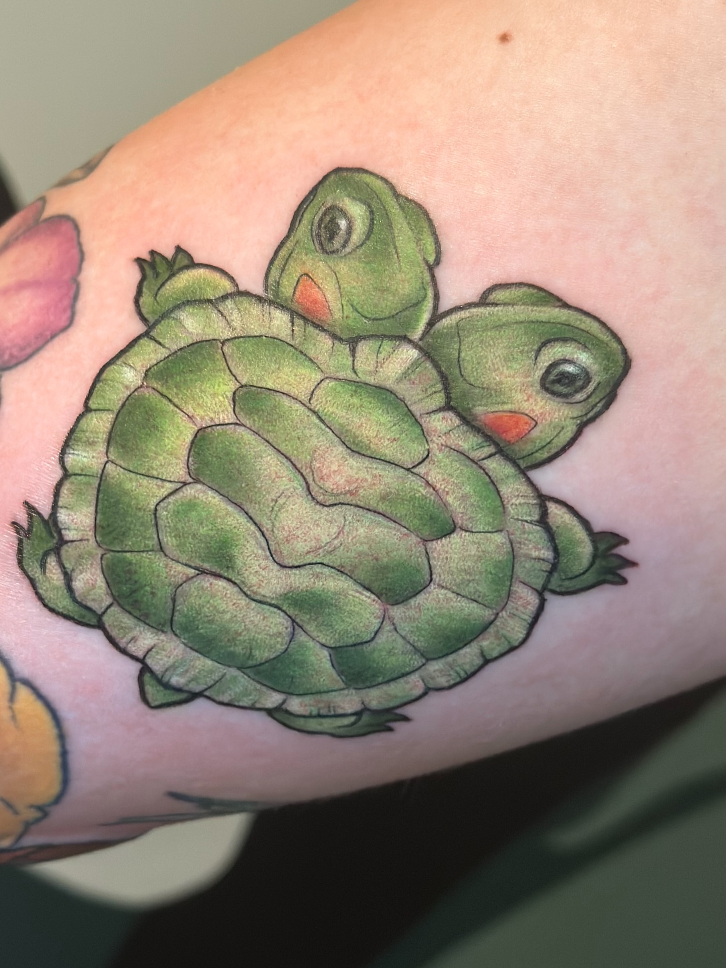 Turtles realism tattoo on the forearm by Katie Hutchins, Dayton, Ohio