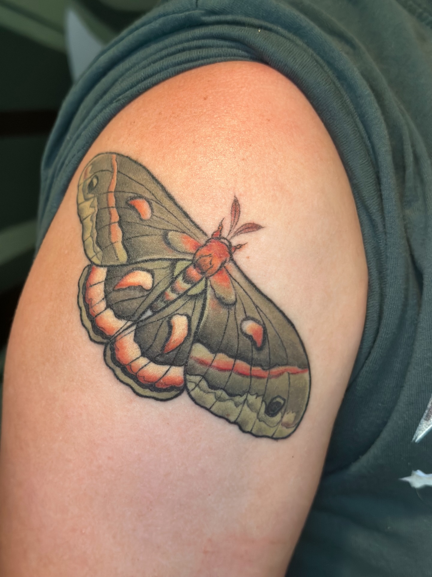 Butterfly American traditional tattoo on the shoulder by Katie Hutchins, Dayton, Ohio