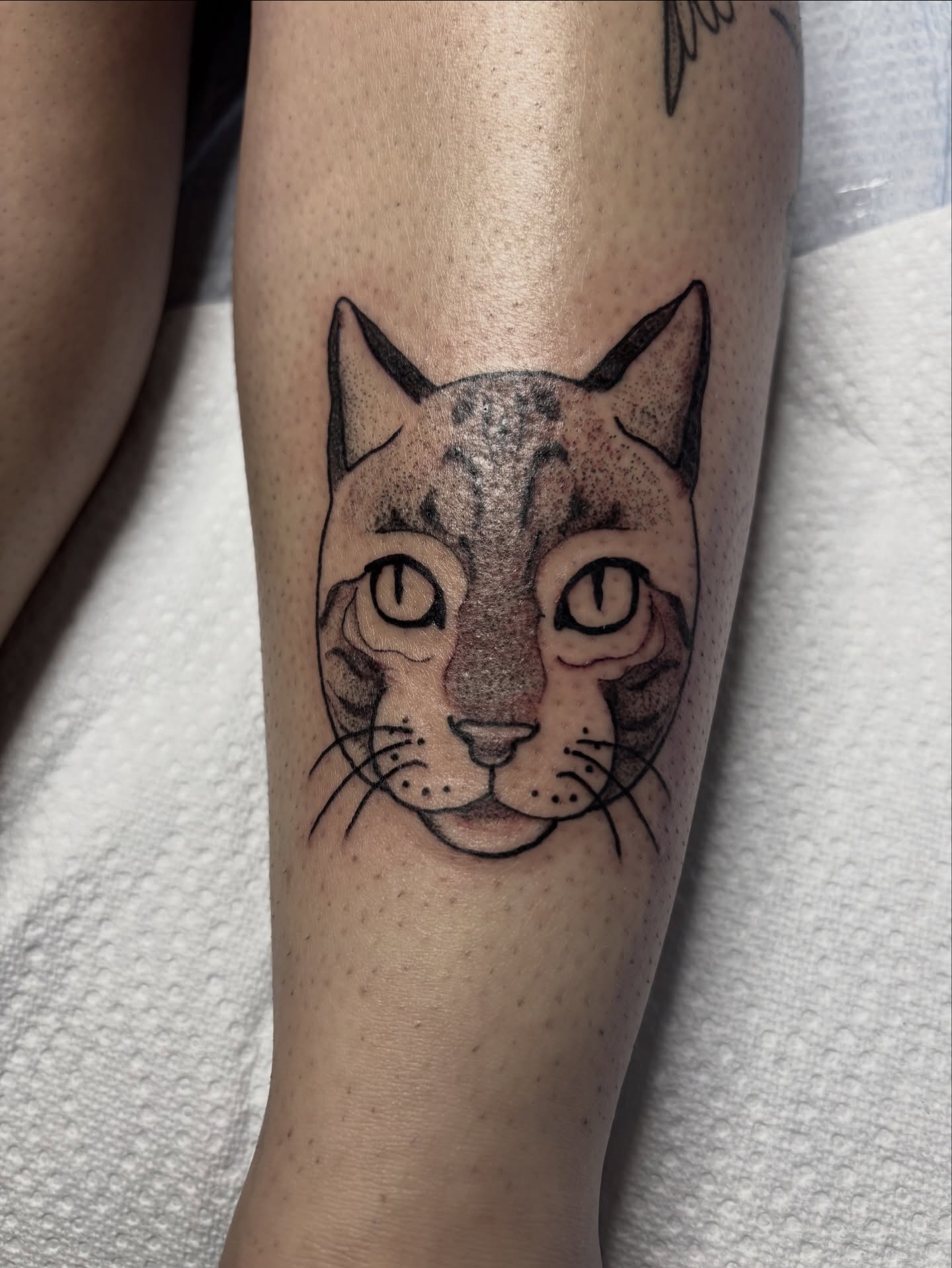 Cat realism tattoo on the forearm by Nashville Tattoo Artist