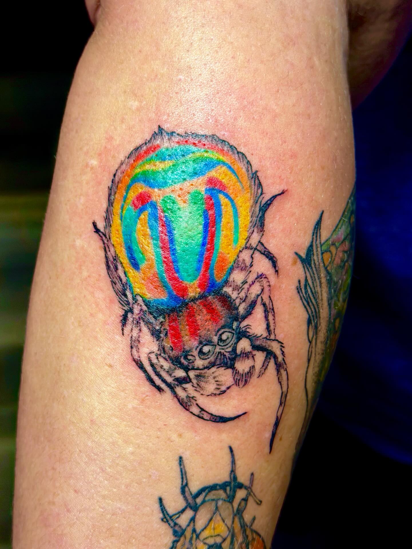 Spider with rainbow new school tattoo on the forearm by Emily