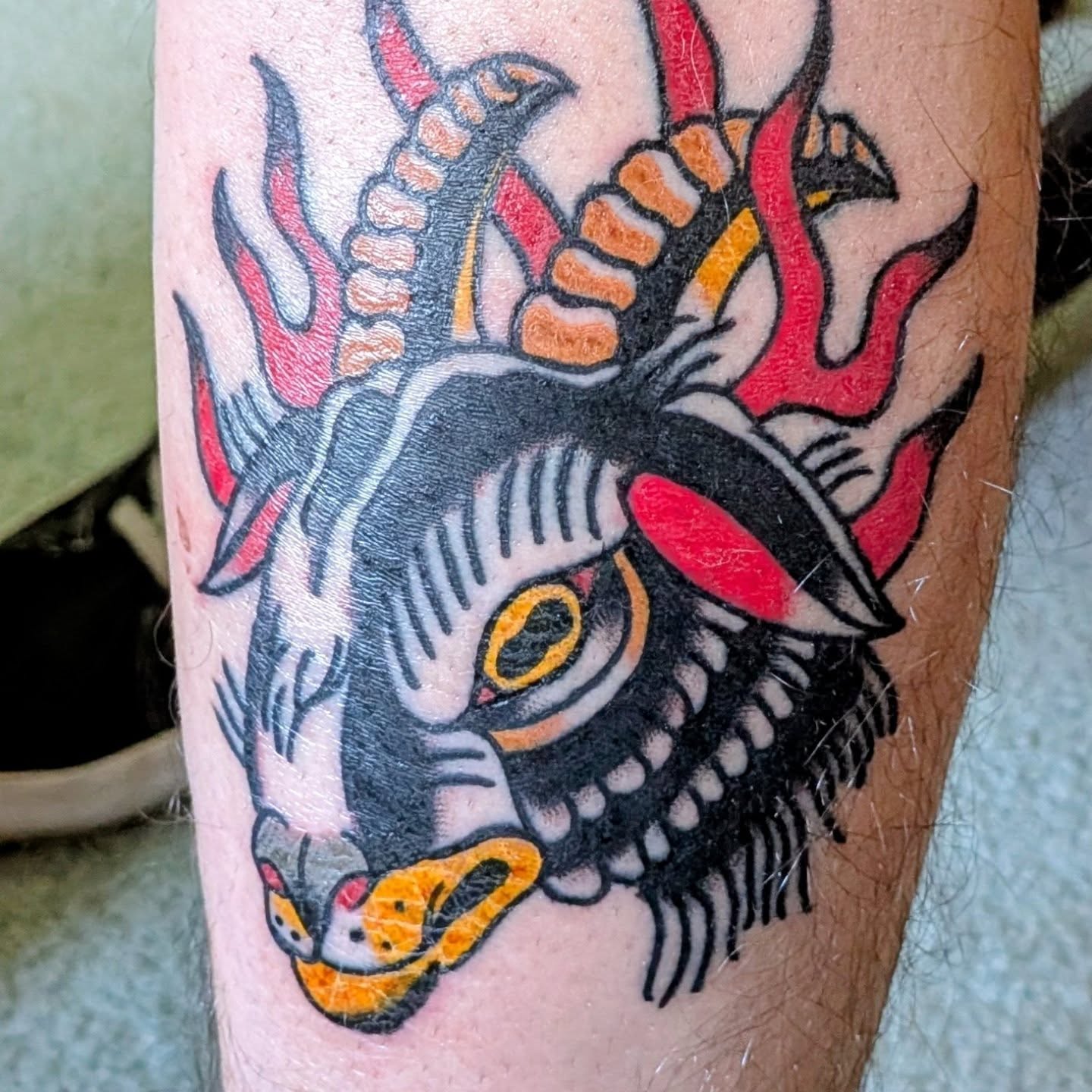 Goat head American traditional tattoo on the forearm by Kam