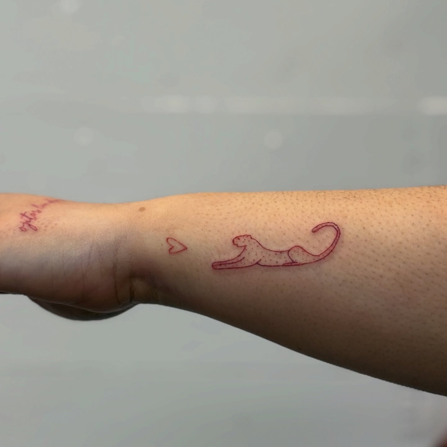 Tattoo by @sweetinktattoo — dotwork