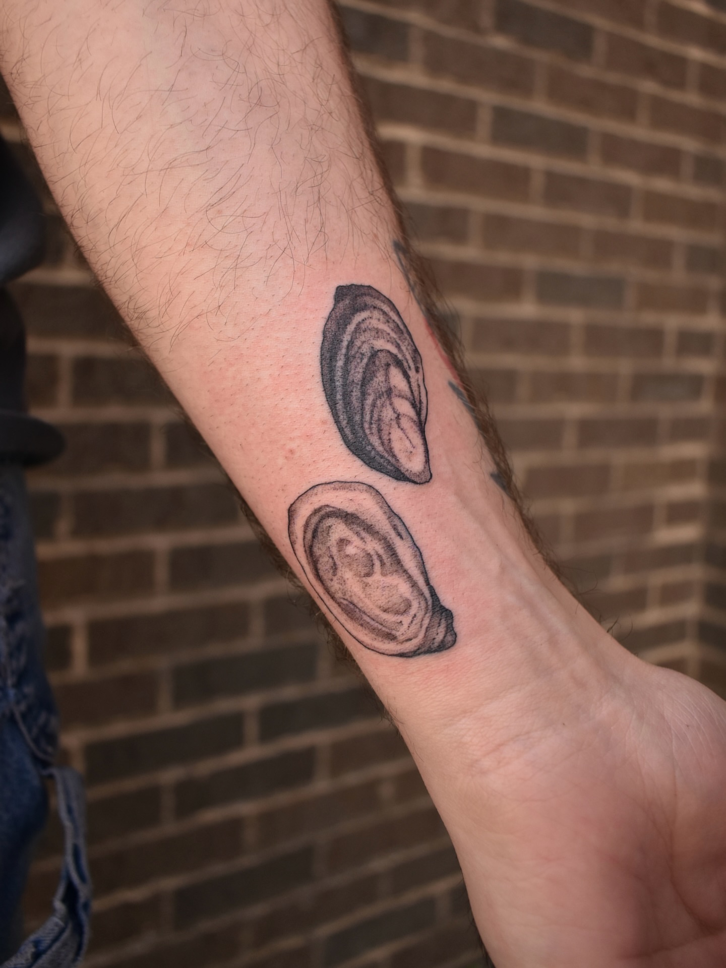 Mussels black and grey tattoo on the forearm by Tattoo Artist