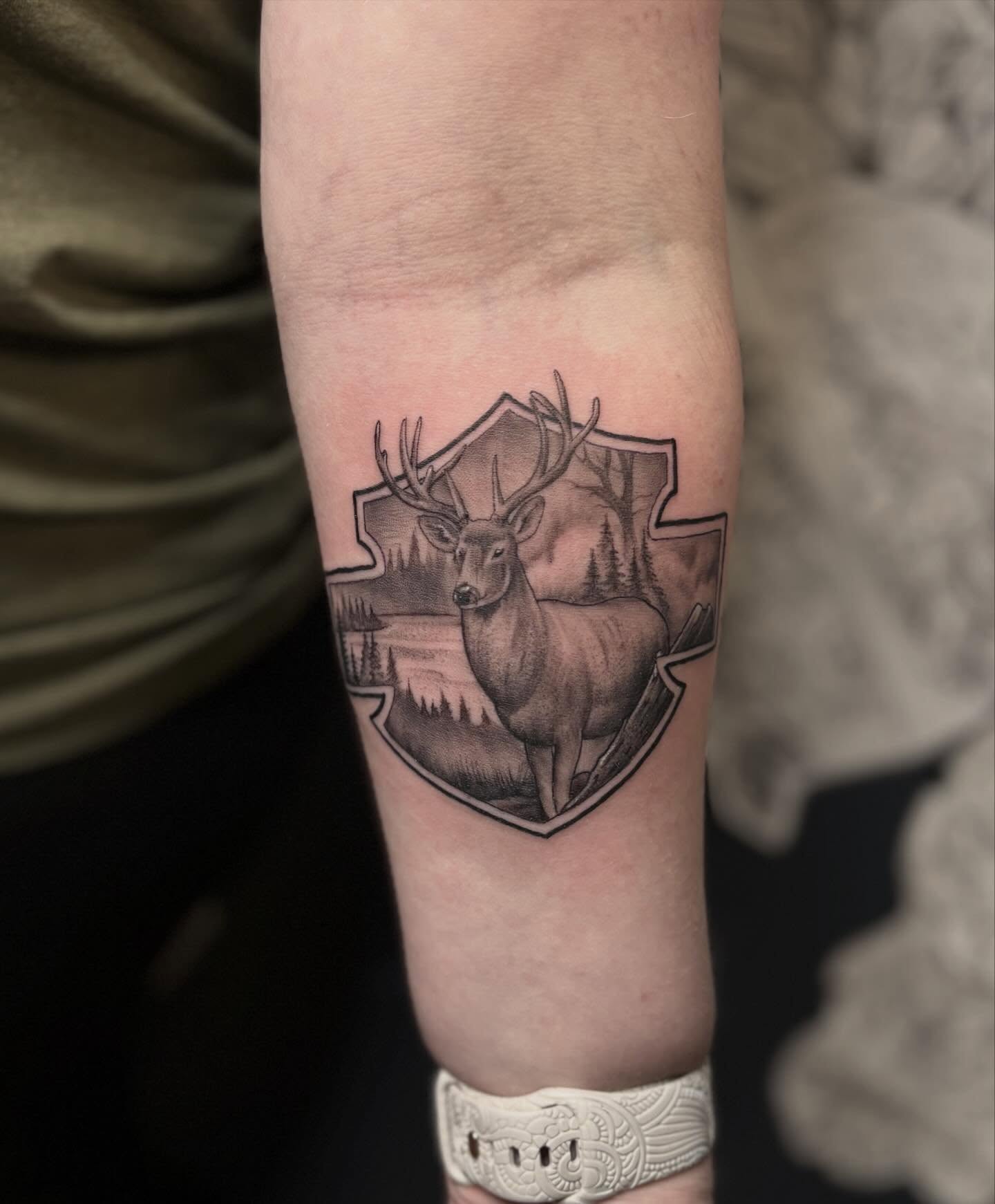 Deer in shield realism tattoo on the forearm by Kyle Ketzler
