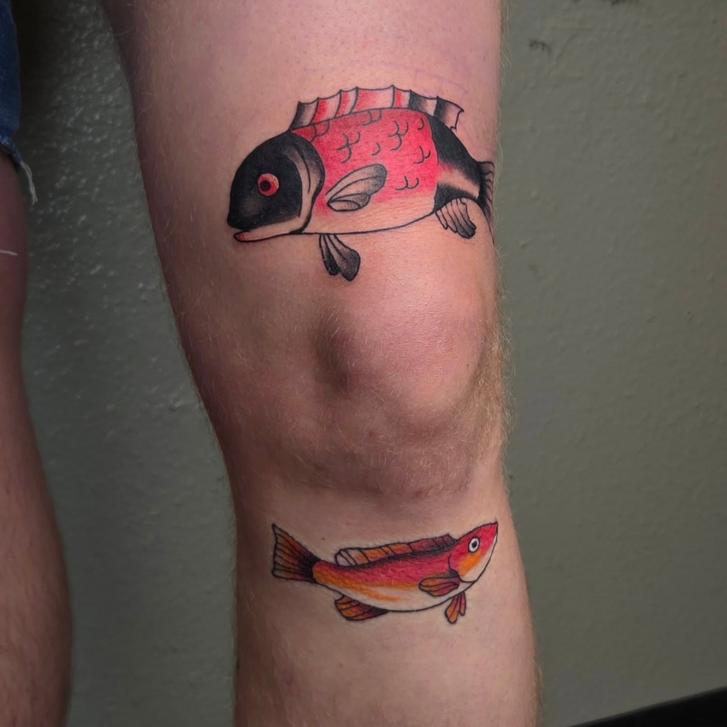 Fish American traditional tattoo on the forearm by alec