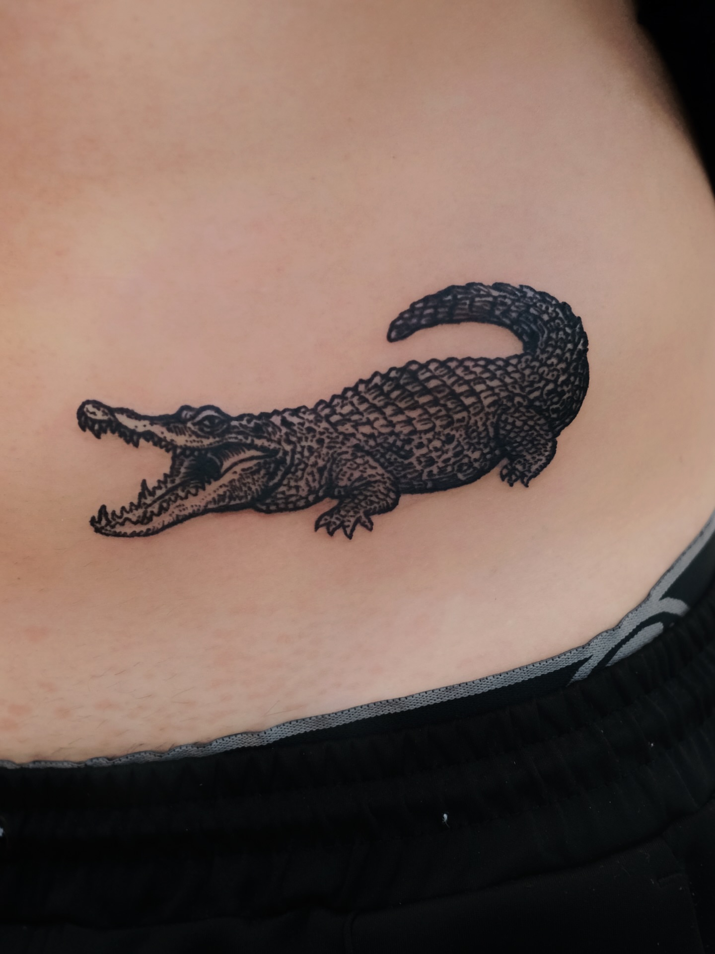 Alligator black and grey tattoo on the ribs by ꜰʟᴏʀᴀ ᴡᴏᴏᴅᴄᴜᴛ ᴛᴀᴛᴛᴏᴏ