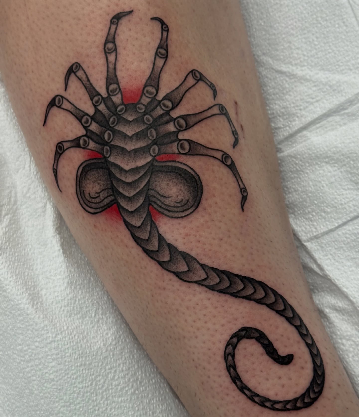 Tattoo by @kara.monstera — black_and_grey