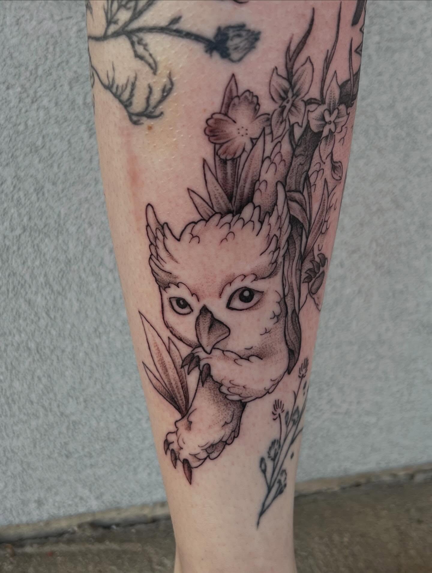 Owl black and grey tattoo on the forearm by Callie πͺ