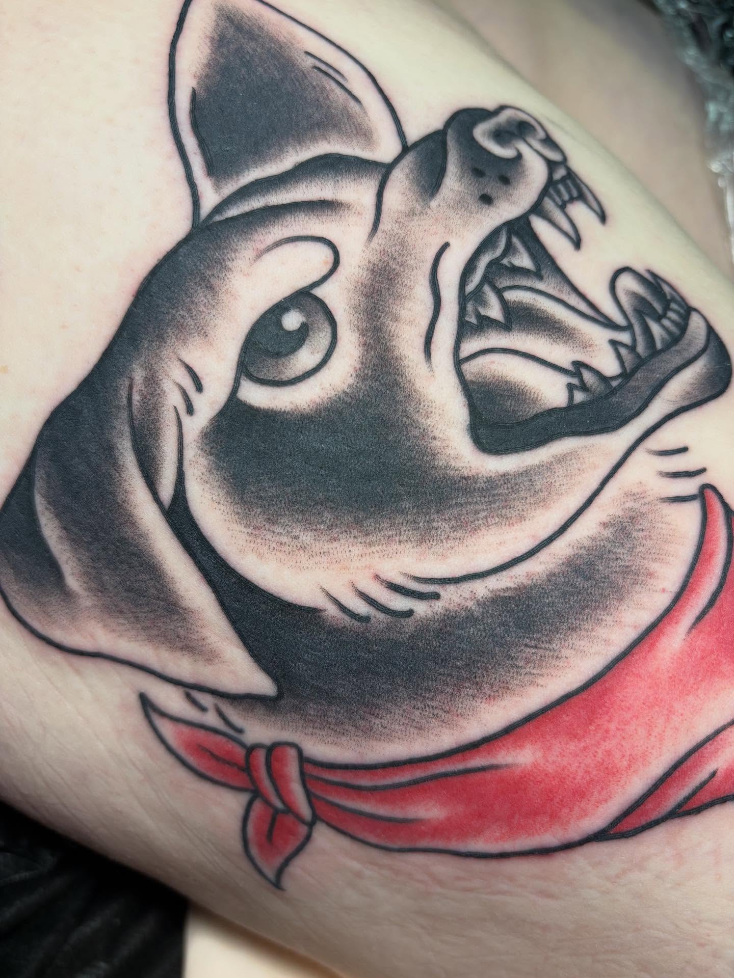 Angry dog American traditional tattoo on the forearm by gia❤️‍🔥🎲, Maryville, Tennessee