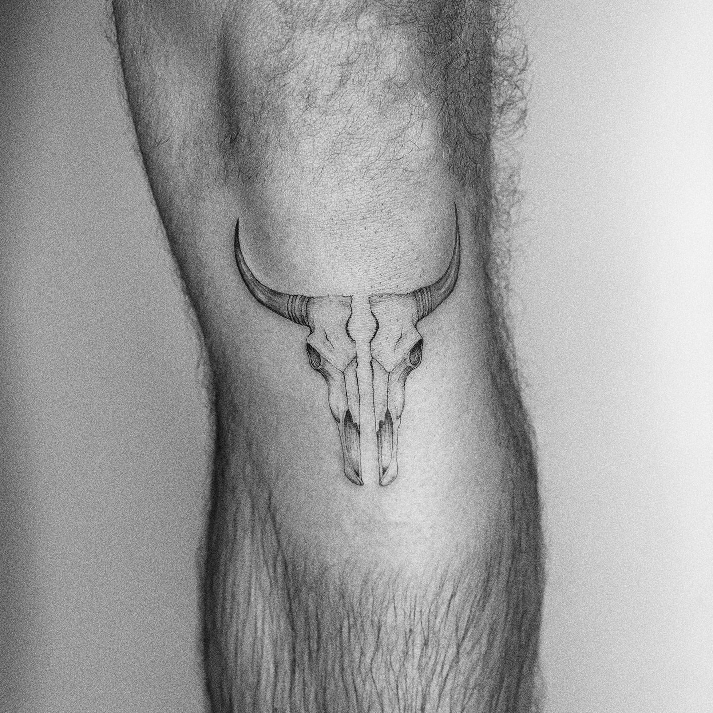 Bull skull black and grey tattoo on the forearm by Marisa Martello, Nashville, Tennessee
