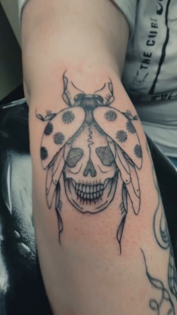 Ladybug skull dark realism tattoo by amber brady, Brunswick, Ohio