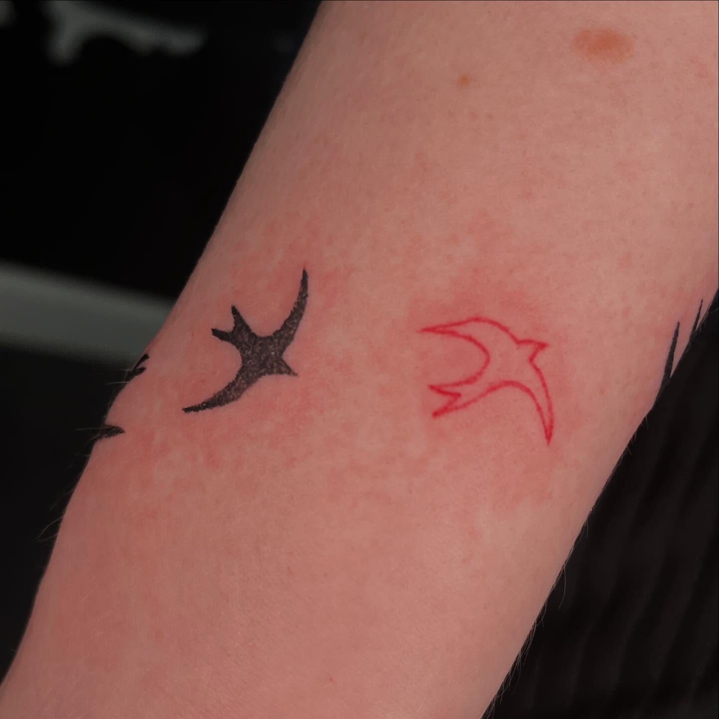 Swallow dotwork tattoo on the forearm by ⁎⁺˳✧༚Emma