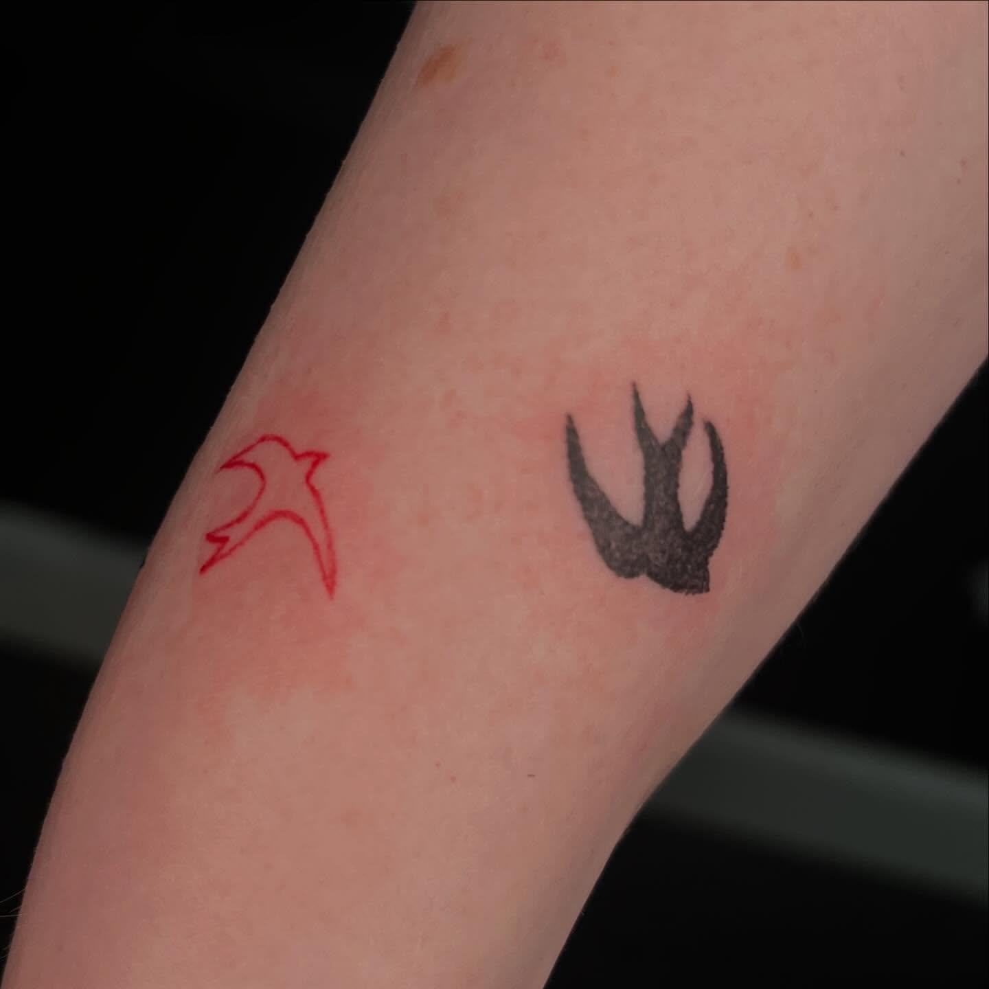 Swallow black and grey tattoo on the forearm by ⁎⁺˳✧༚Emma
