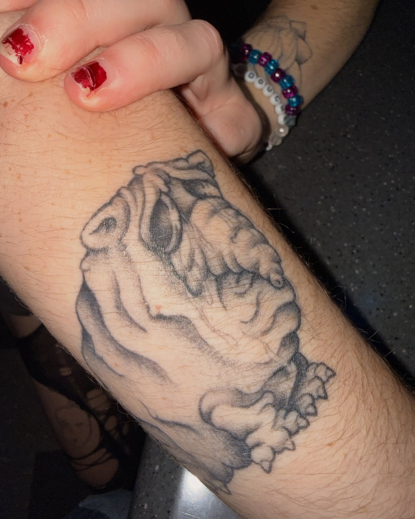 Bulldog realism tattoo on the forearm by Penny D Tattoos