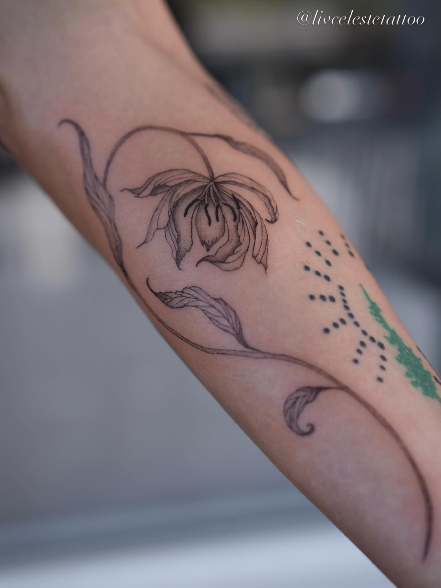 Lily dotwork tattoo on the forearm by ༻❁༺ ⟡ 𝑳𝒊𝒗 𝑪𝒆𝒍𝒆𝒔𝒕𝒆 ⟡ ༻❁༺