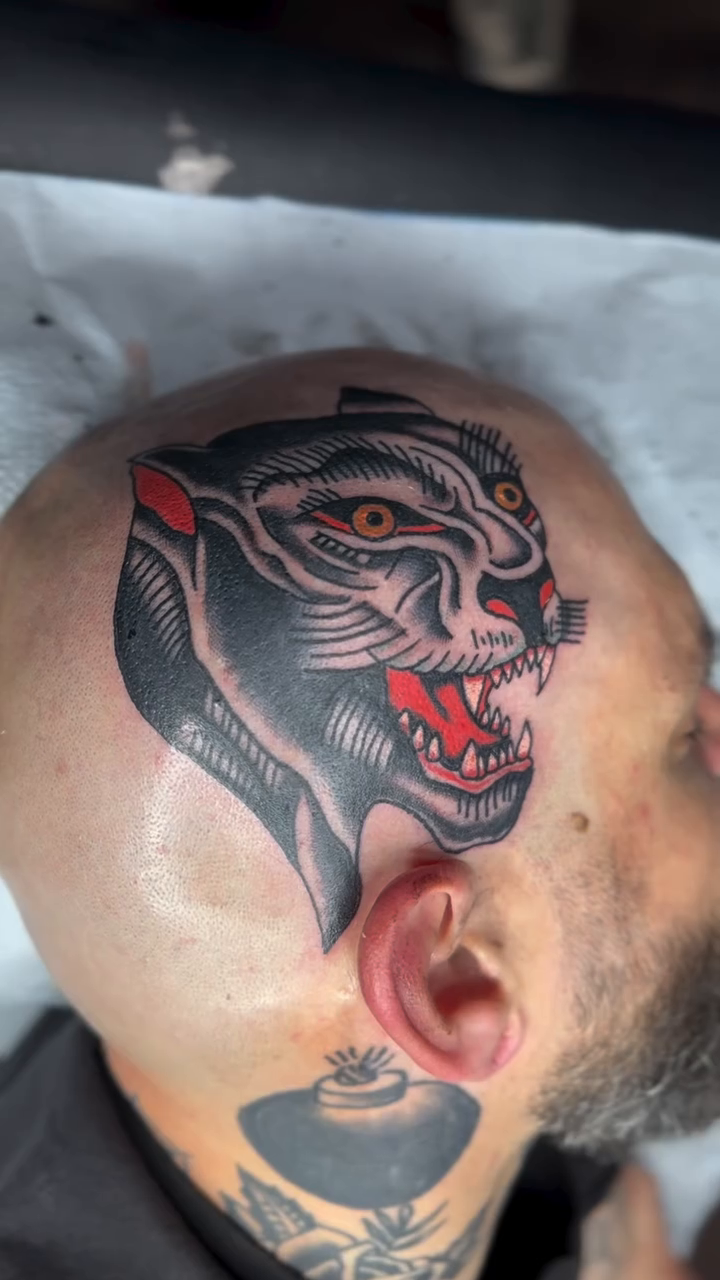Panther head blackwork tattoo by Stephen Galena