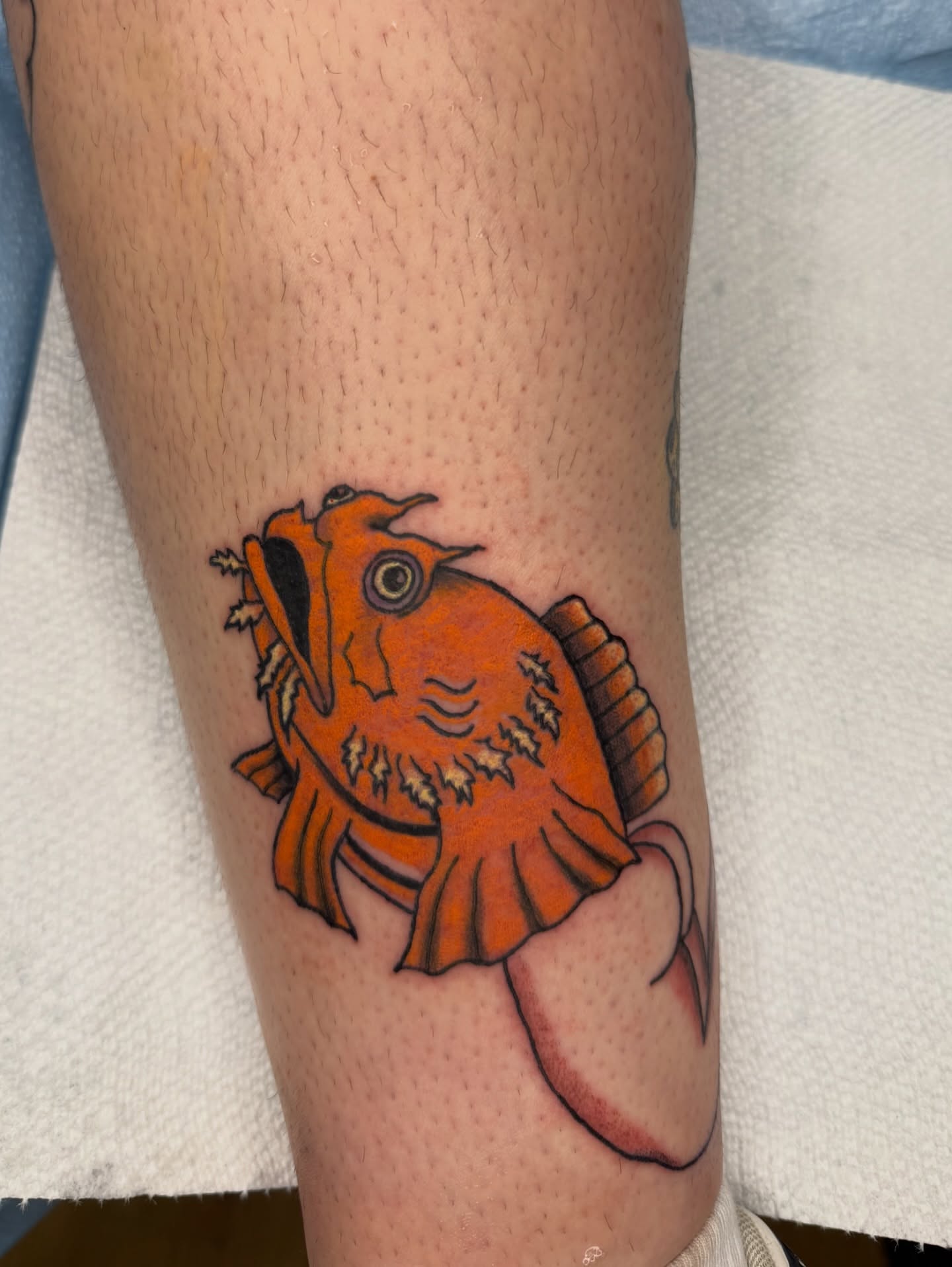 Fish American traditional tattoo on the forearm by Giana Masso