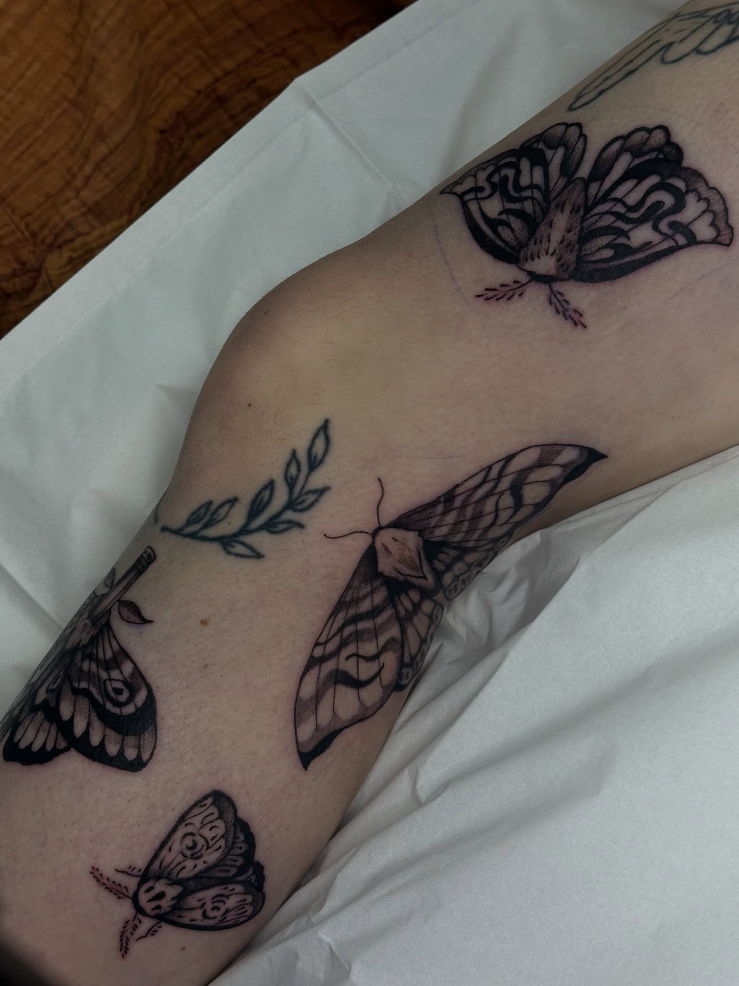 Butterflies black and grey tattoo on the forearm by Halle Cooper
