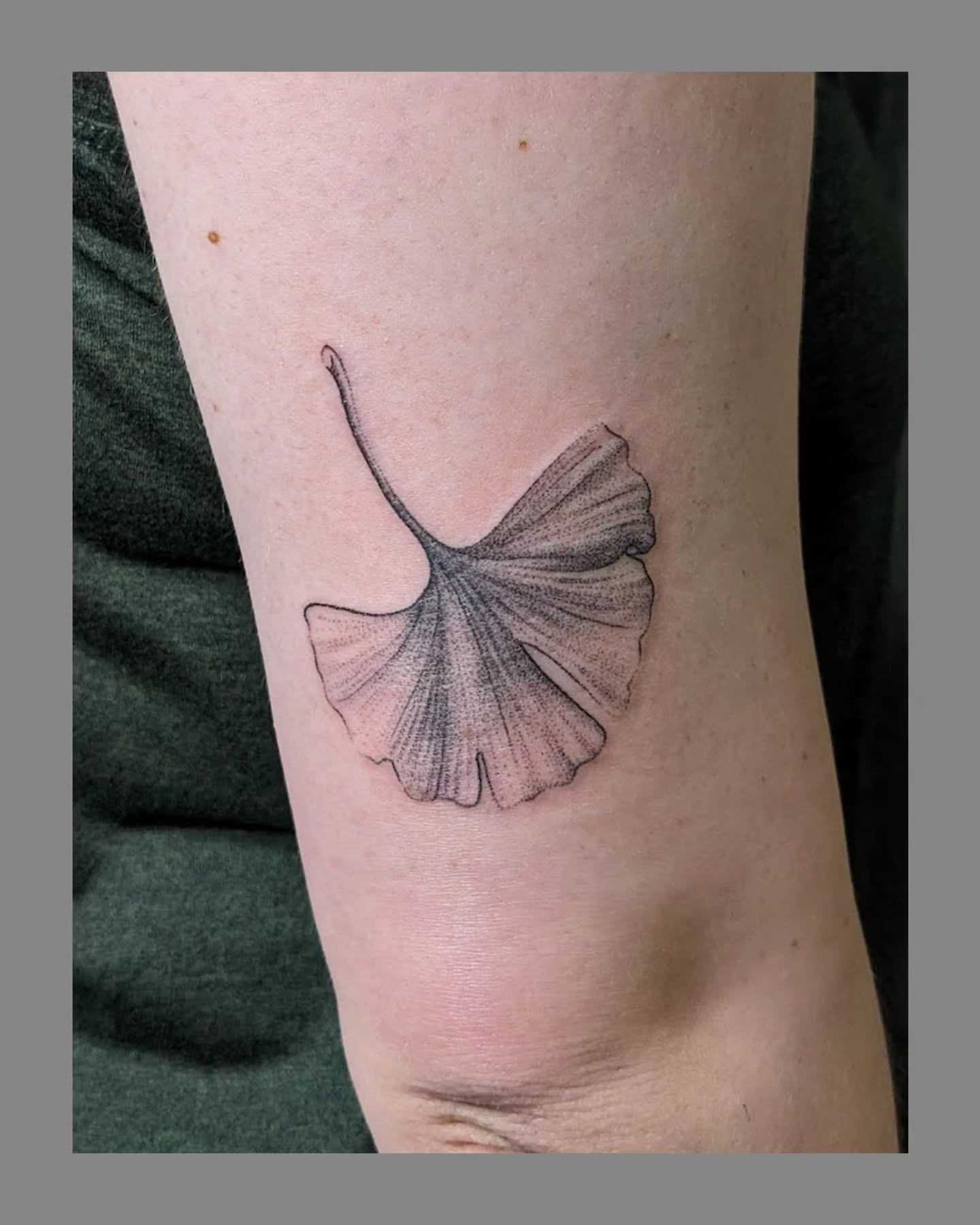 Gingko leaf dotwork tattoo on the forearm by Marria