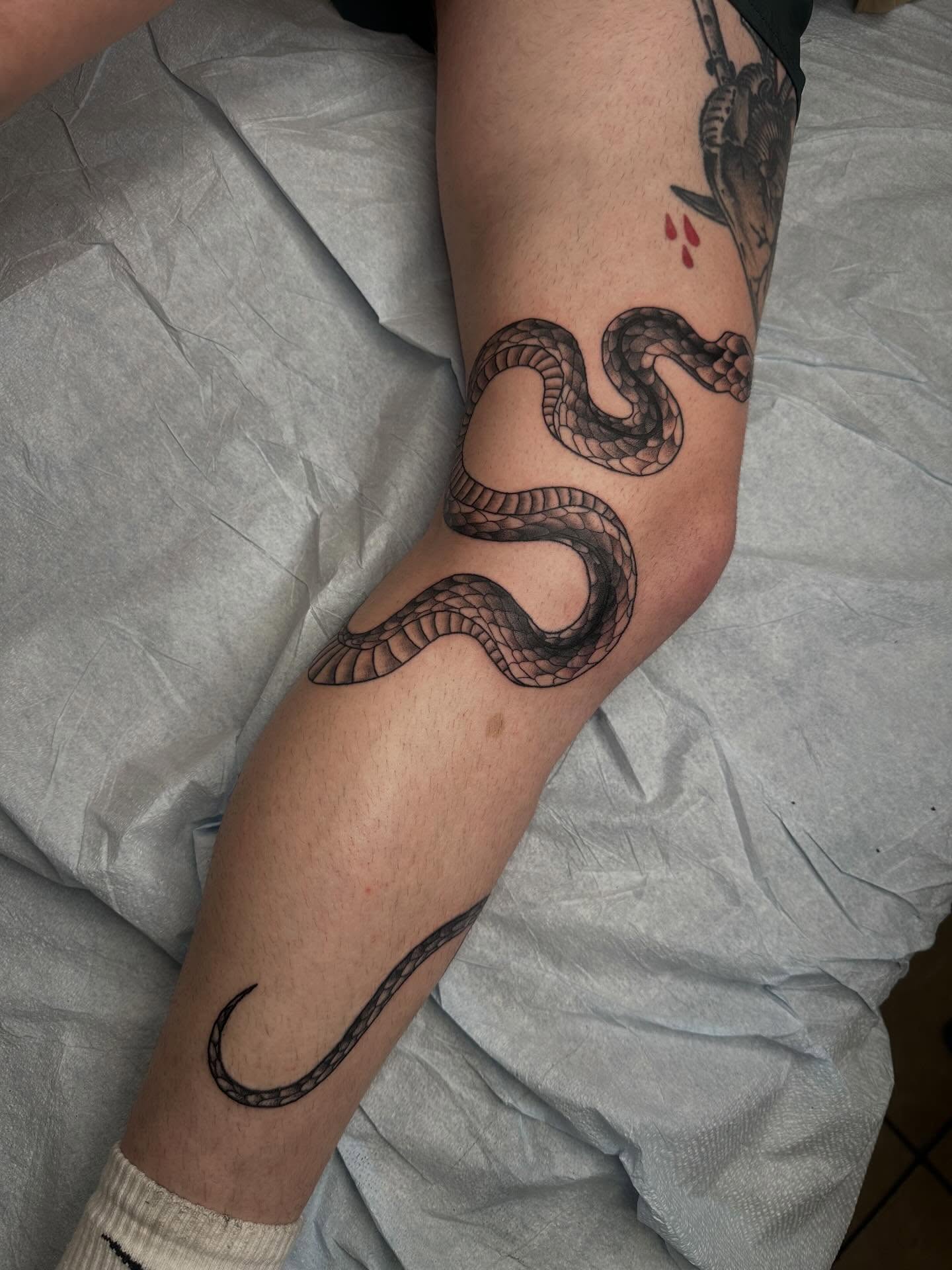 Snake black and grey tattoo on the forearm by Alex Gunshefski