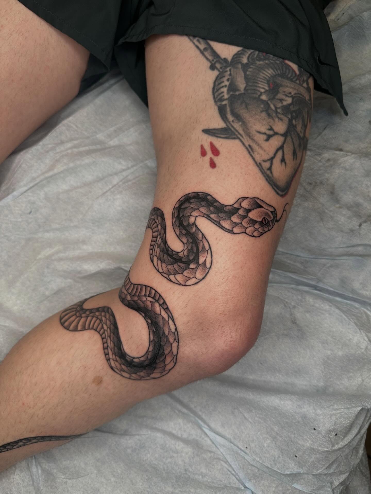 Snake black and grey tattoo on the forearm by Alex Gunshefski