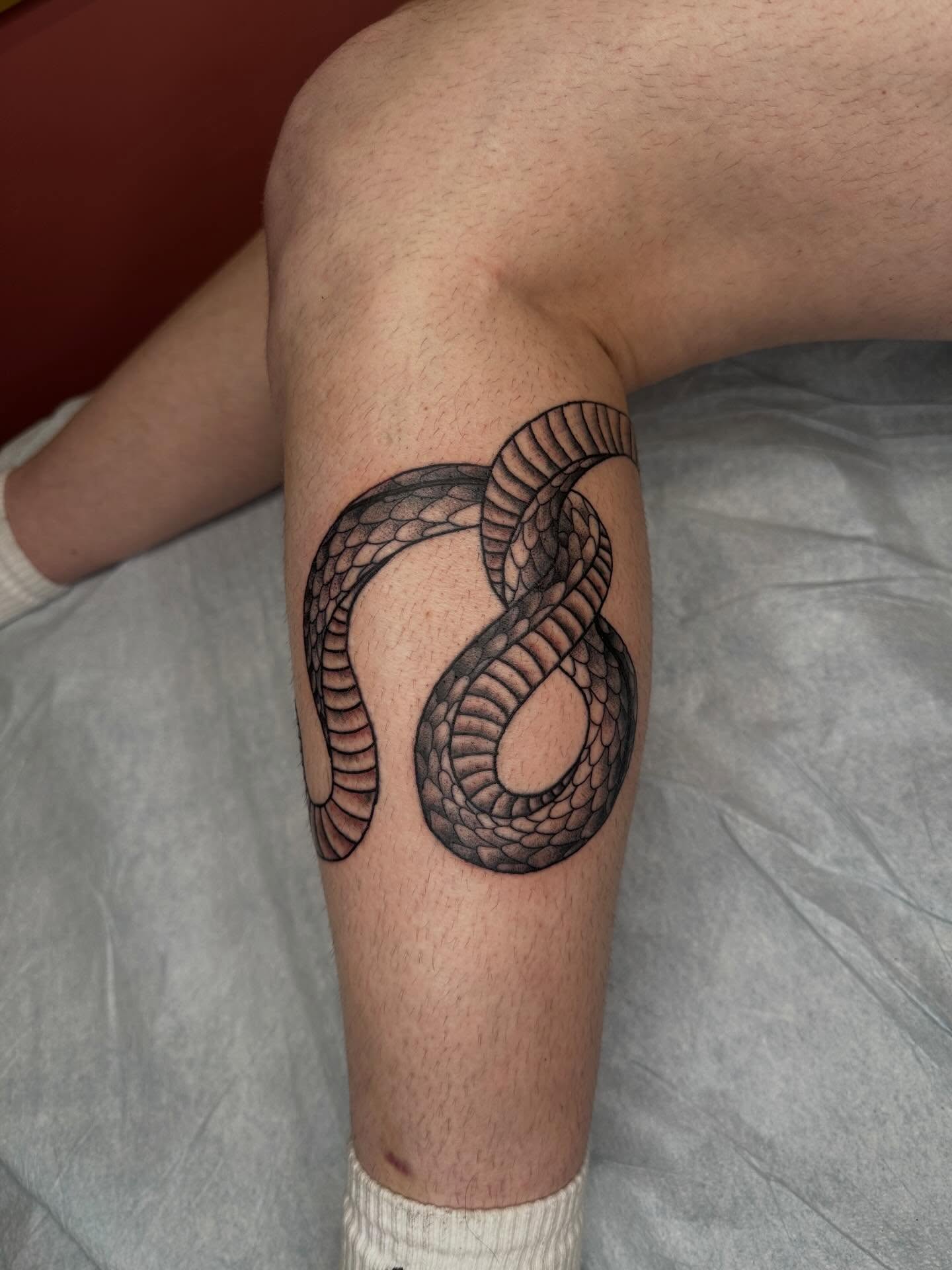 Snake black and grey tattoo on the forearm by Alex Gunshefski