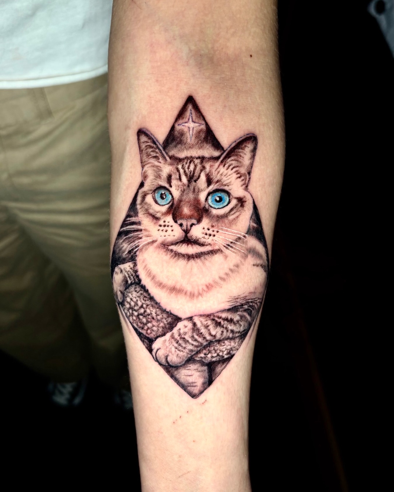 Cat realism tattoo on the forearm by Deacon Moser