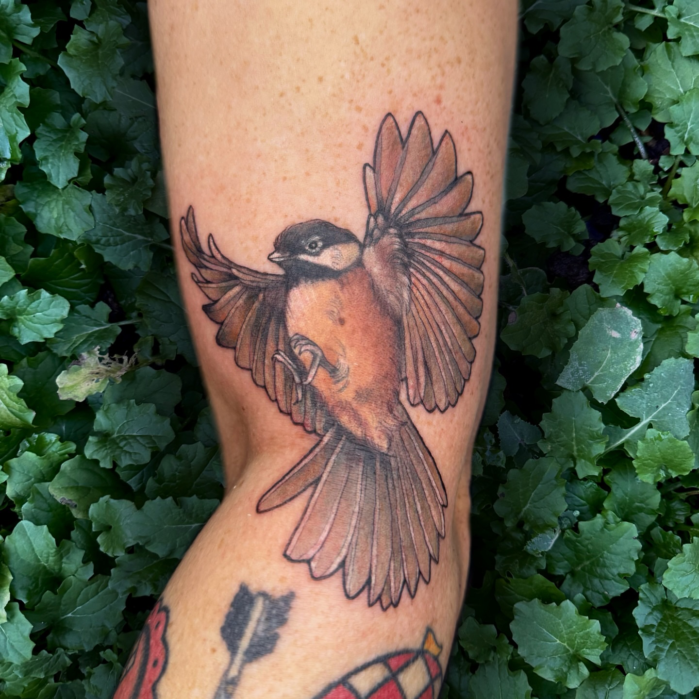 Tattoo by @moggtattoo β realism