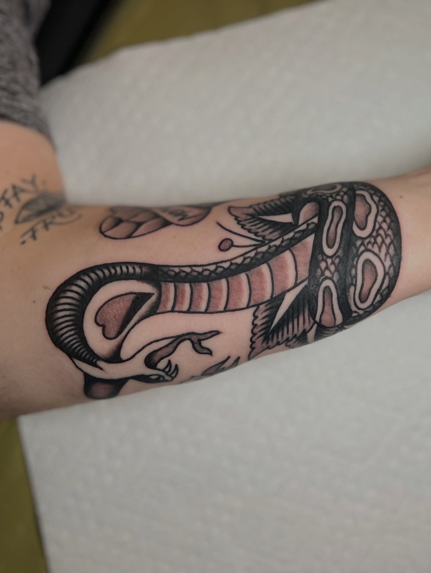 Snake American traditional tattoo on the forearm by Andrew Storm