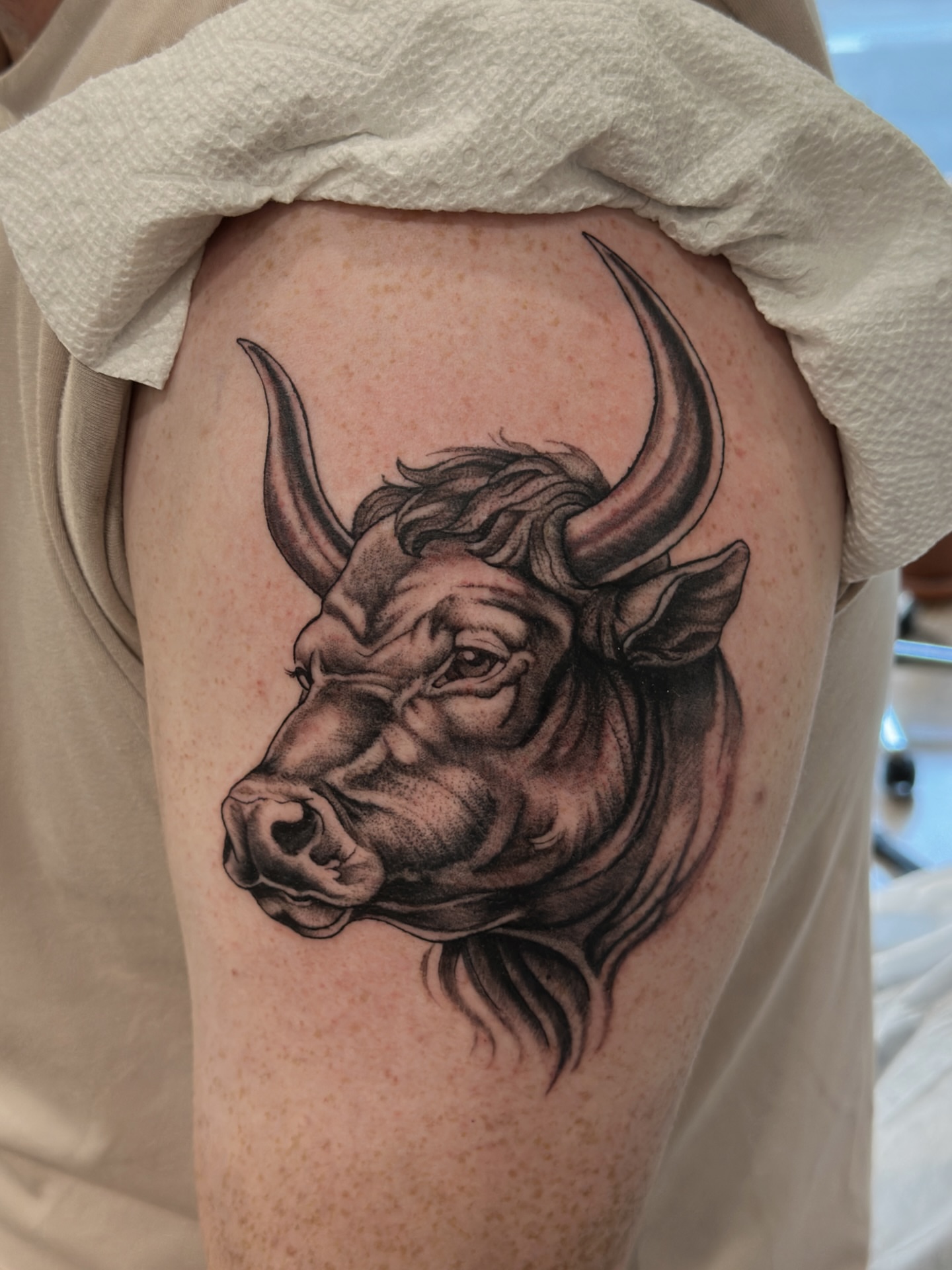 Bull head black and grey tattoo on the shoulder by Matt Kearney