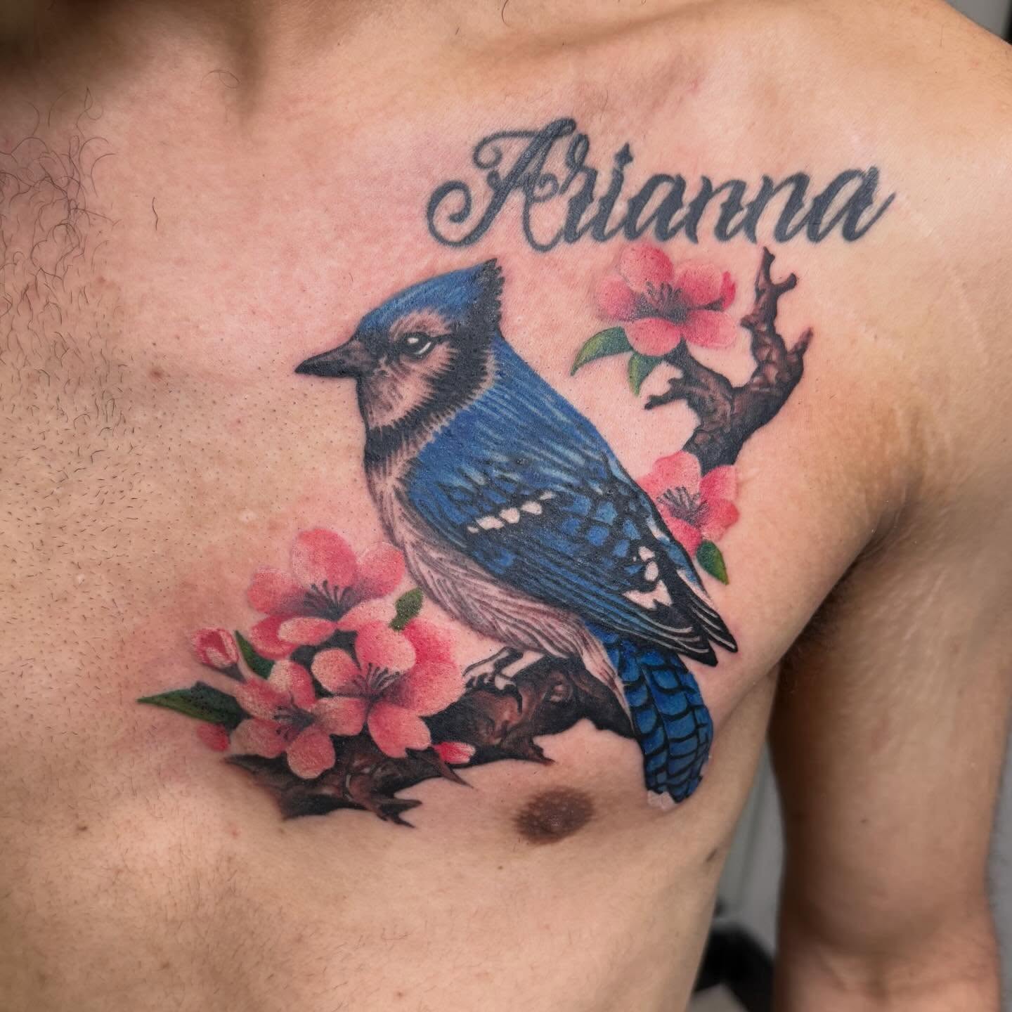 Blue jay and blossoms realism tattoo on the chest by Jayb, Passaic, New Jersey