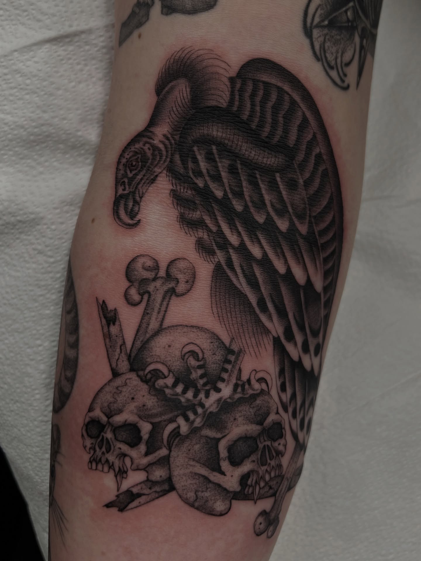 Vulture and skulls realism tattoo on the forearm by Cassidy Maples