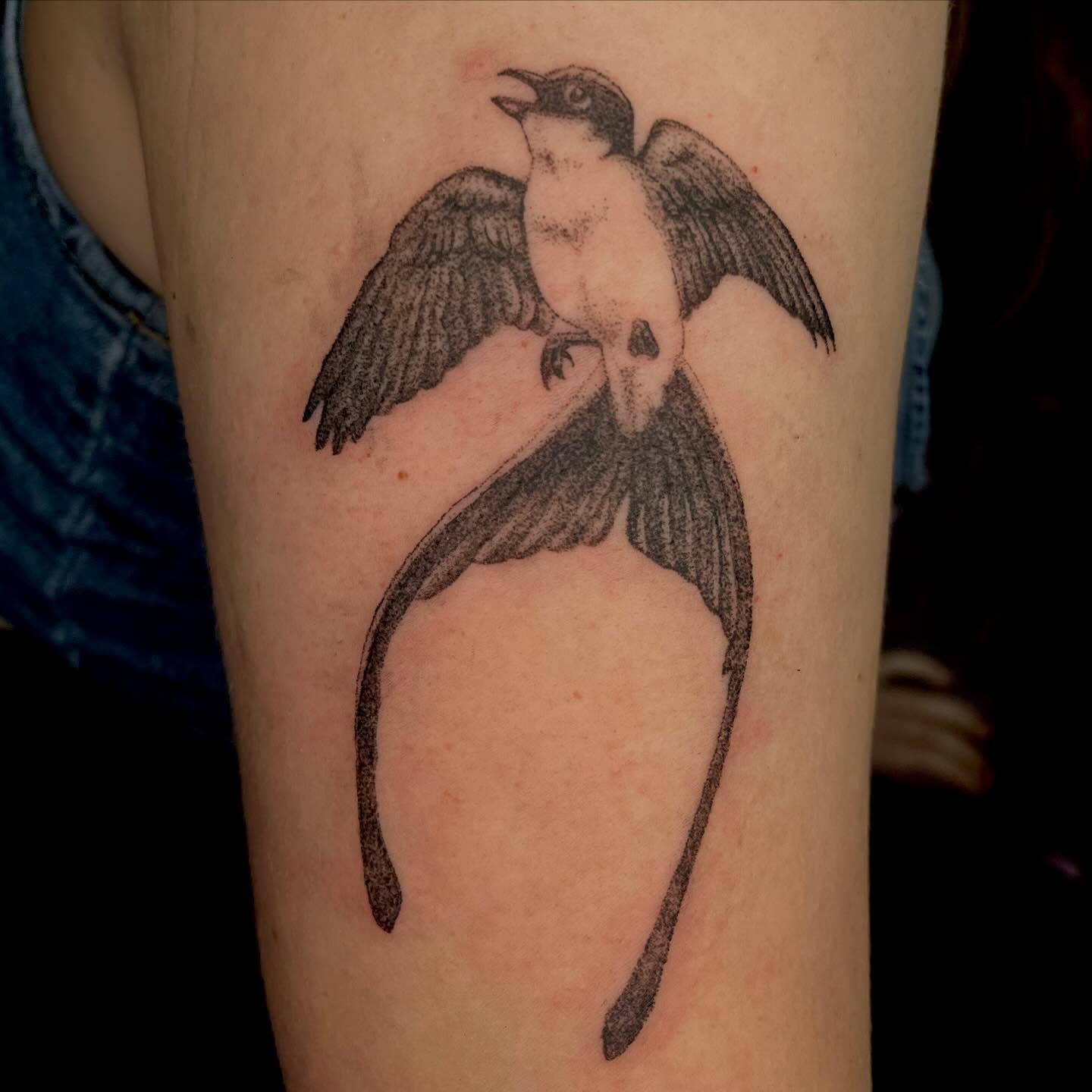 Bird black and grey tattoo on the forearm by ⁎⁺˳✧༚Emma