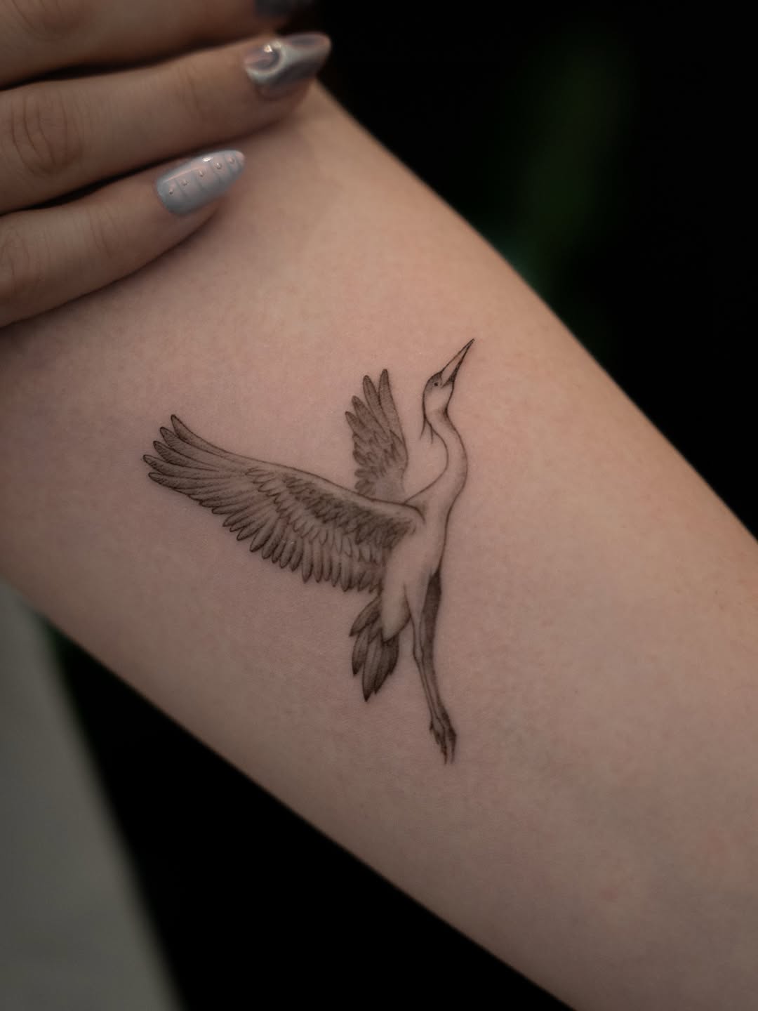 Tattoo by @junh_tattoo — fine_line, black_and_grey