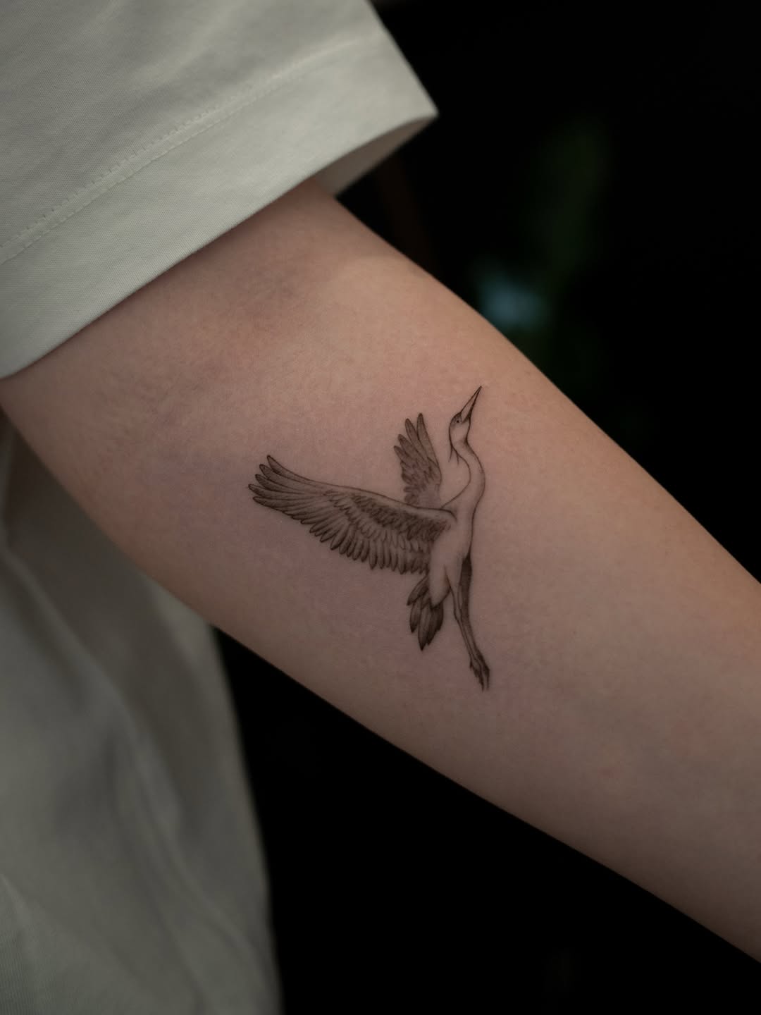 Tattoo by @junh_tattoo — fine_line, realism