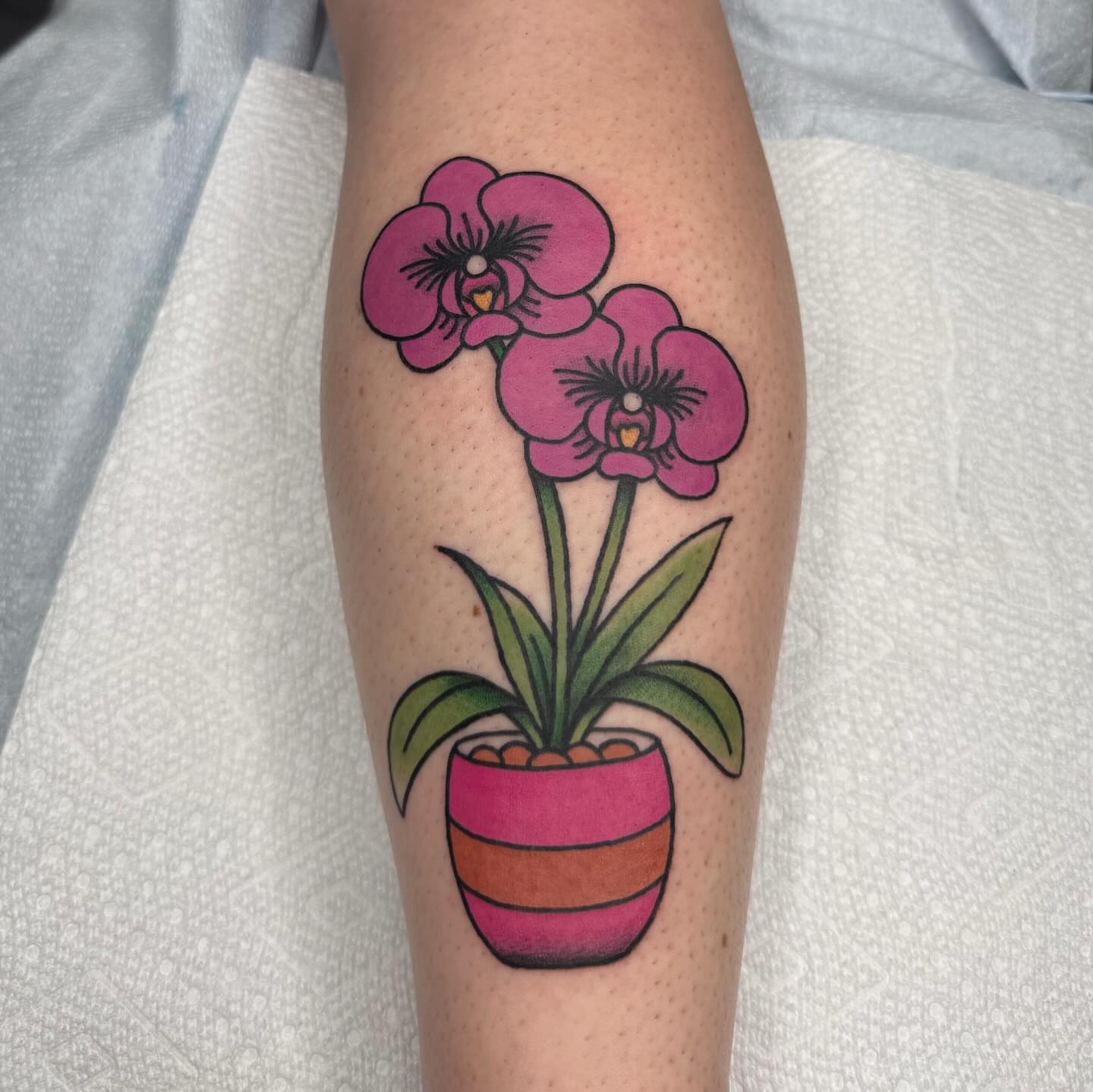 Orchid plant new school tattoo on the forearm by 𝕮𝖆𝖘𝖊𝖞 𝕭𝖆𝖘𝖍𝖊𝖗