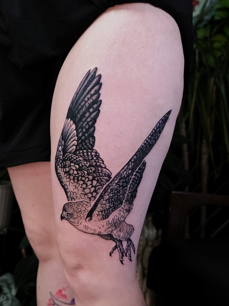Hawk realism tattoo on the thigh by Renee (Koi) Vance