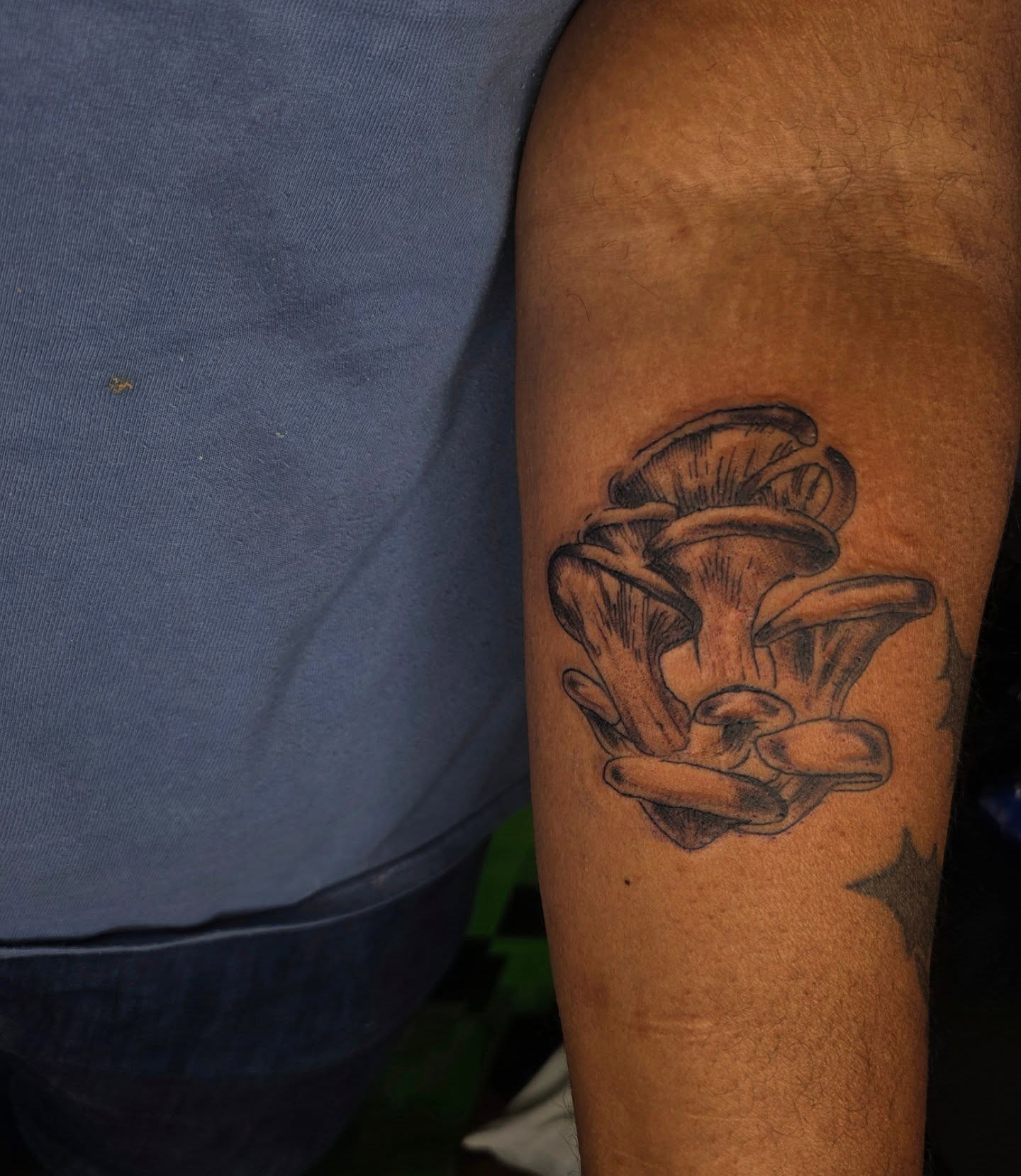 Mushrooms black and grey tattoo on the forearm by julian