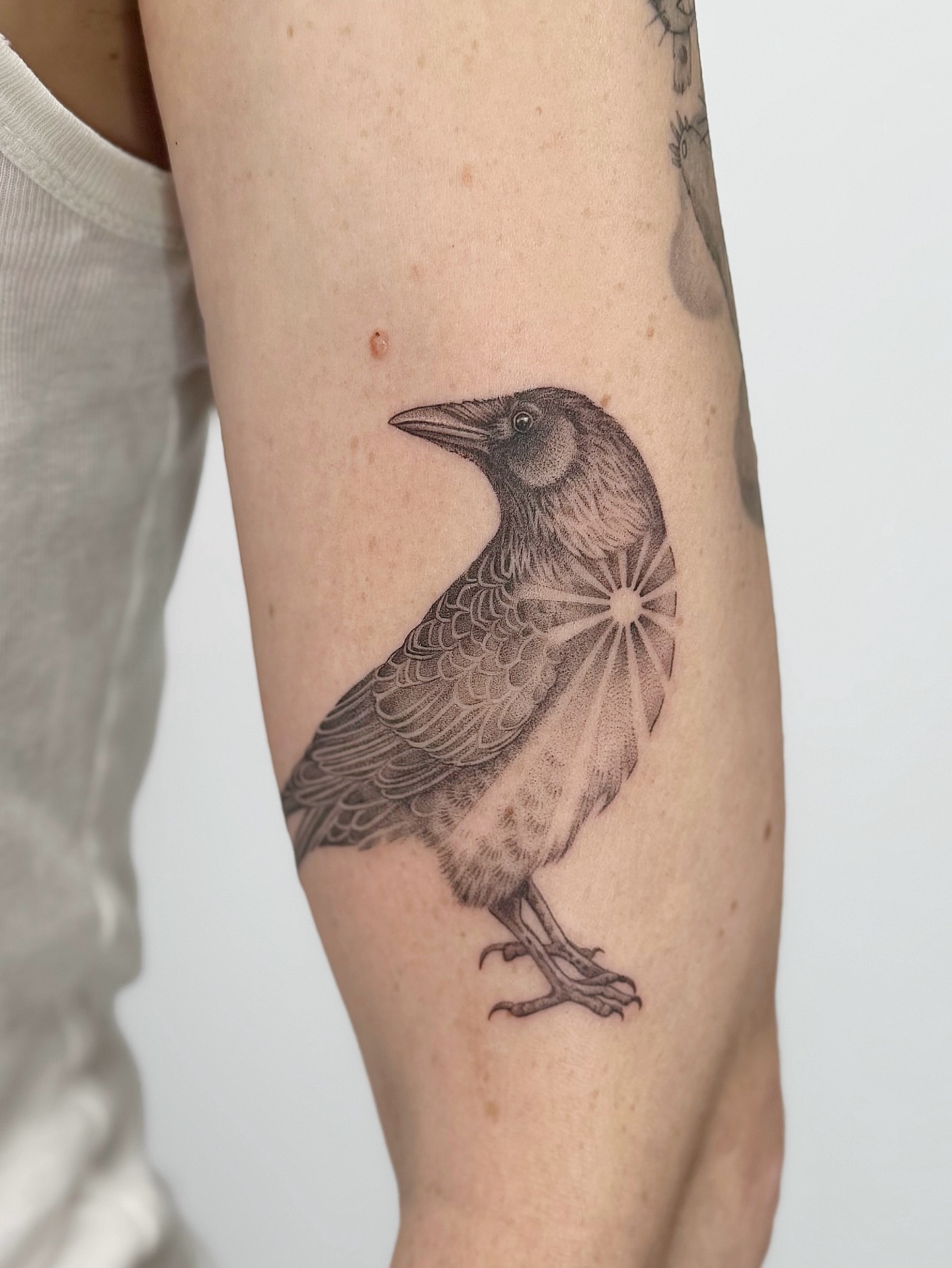 Crow dotwork tattoo on the forearm by Lea Burkard, Berkeley, California