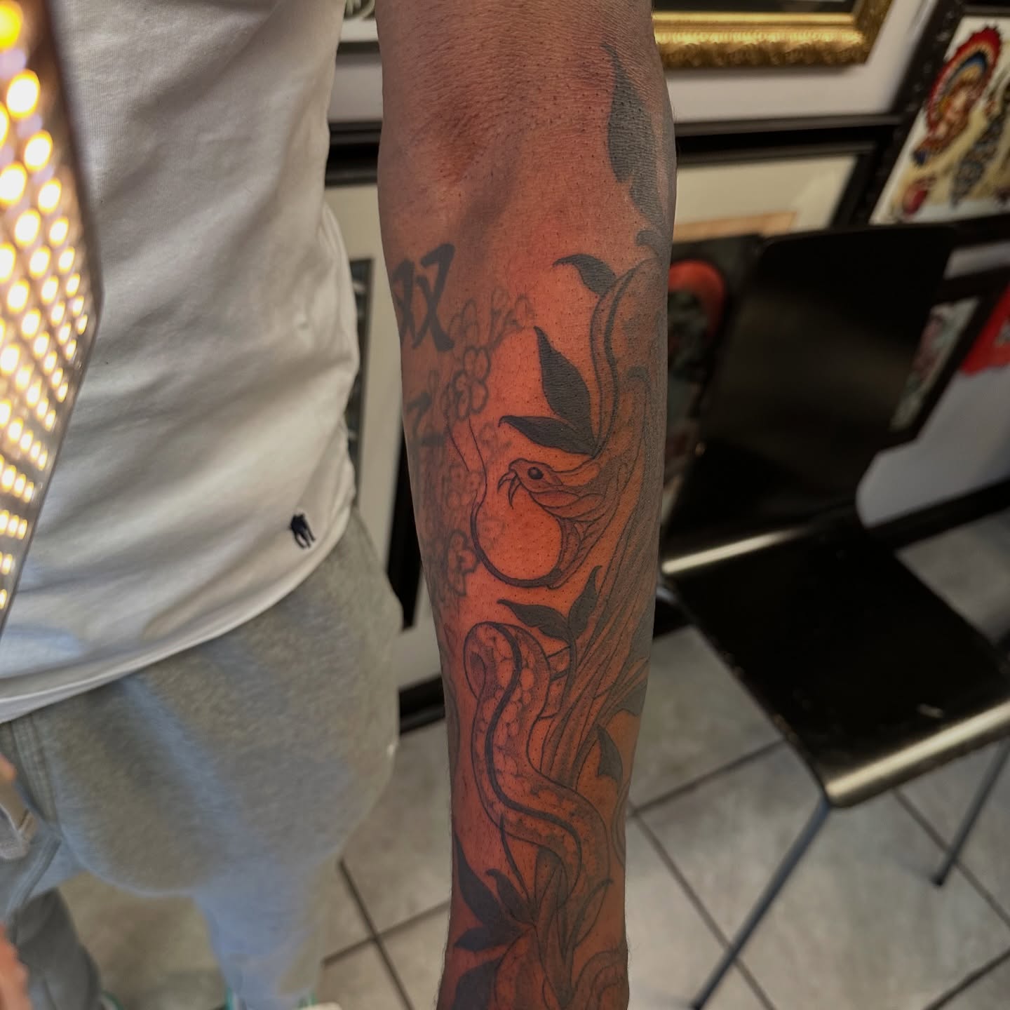Bird and floral American traditional tattoo on the forearm by Mia Layne 🤎