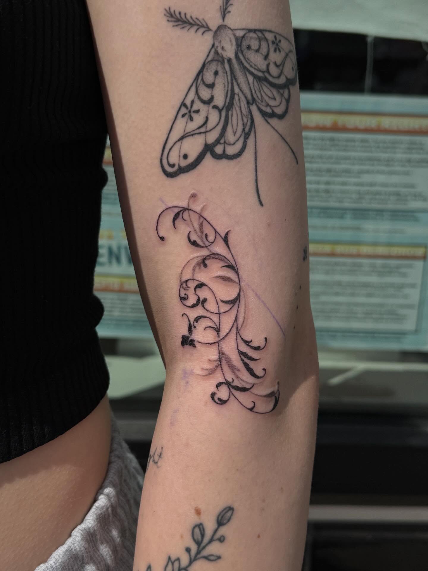 Moths black and grey tattoo on the forearm by Rachel ˚⊱🪷⊰˚ 芷若, Des Moines, Iowa