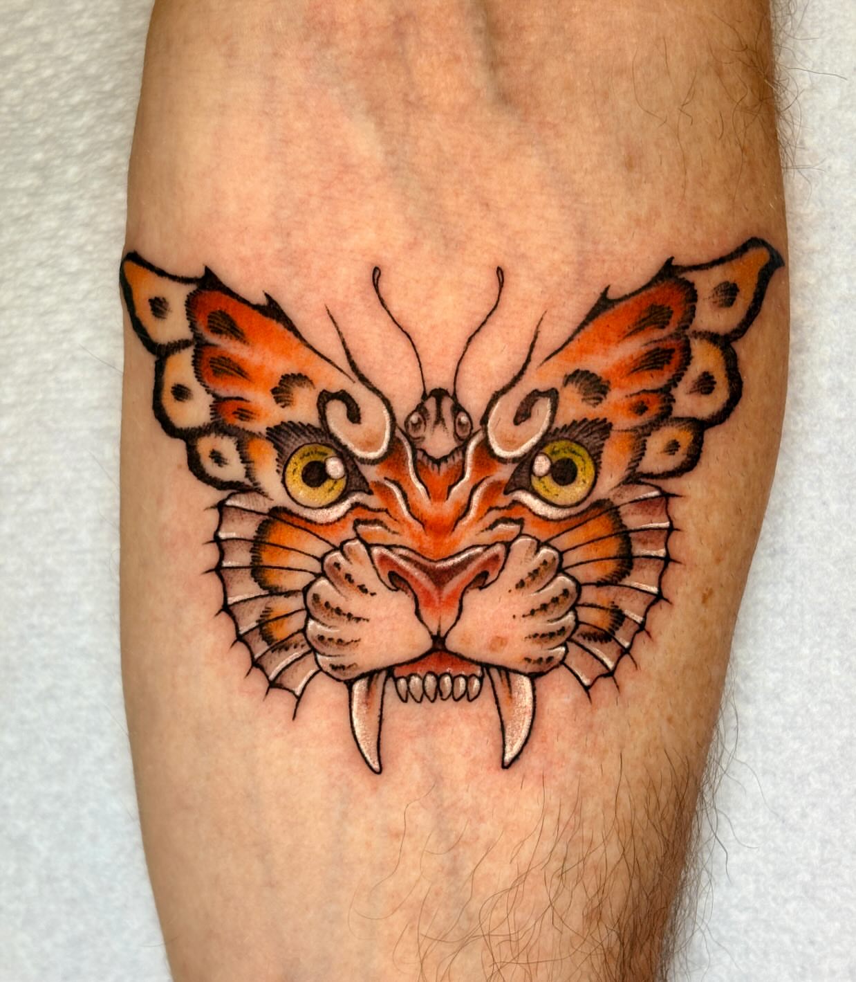 Butterfly tiger American traditional tattoo on the forearm by jo, Wichita, Kansas
