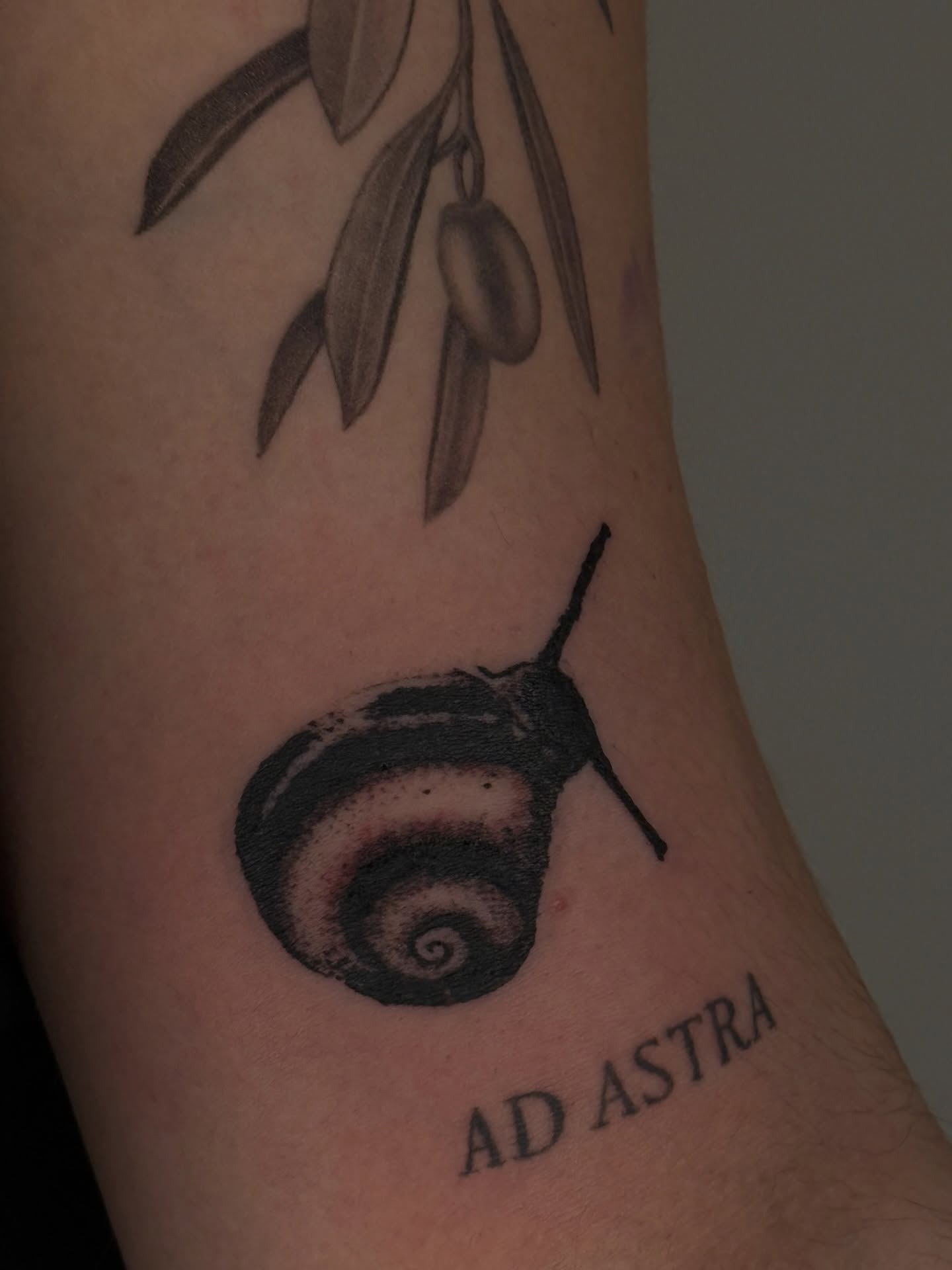 Tattoo by @greenwood.tattoo — black_and_grey