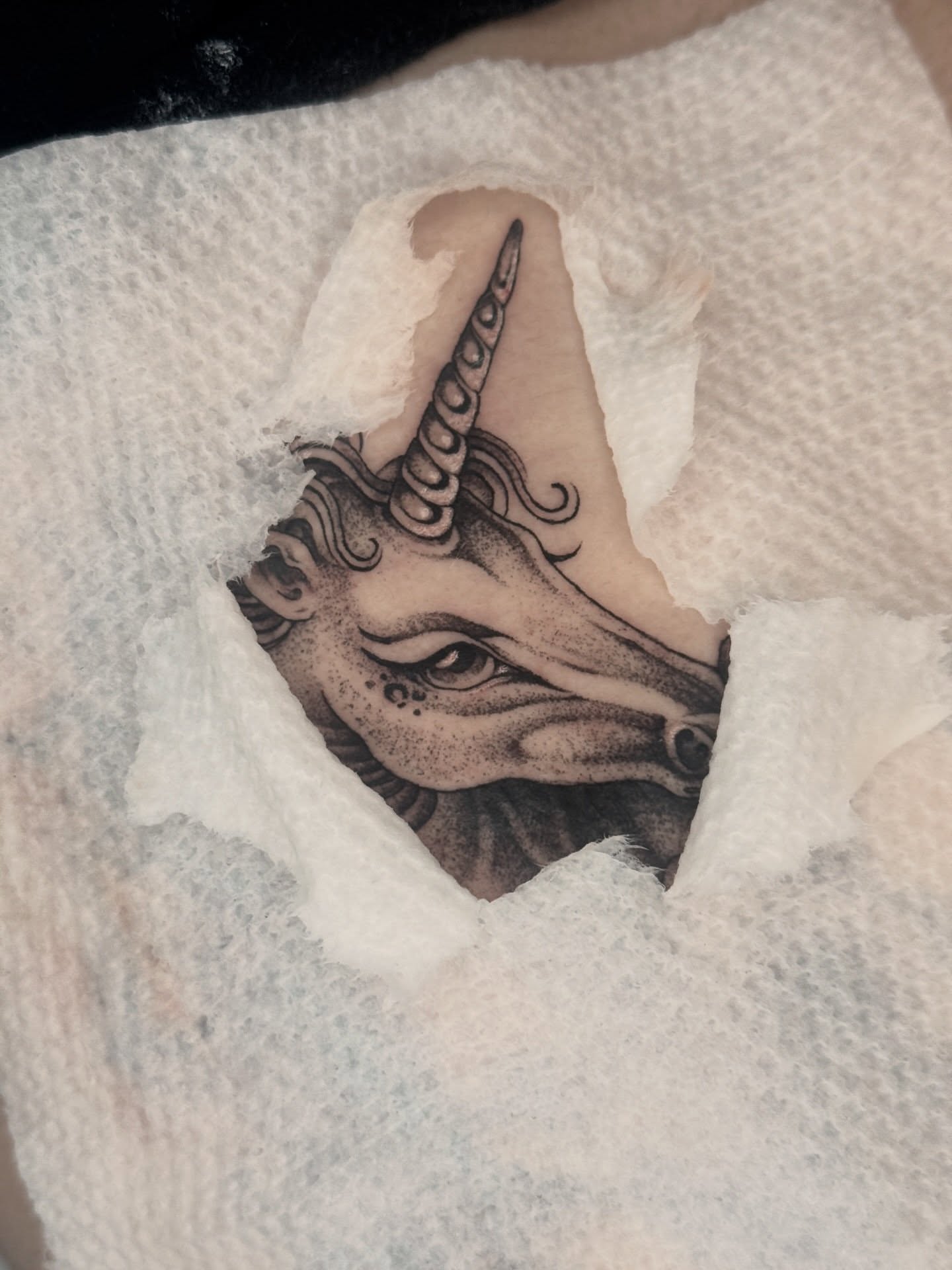 Unicorn head dotwork tattoo on the forearm by ella