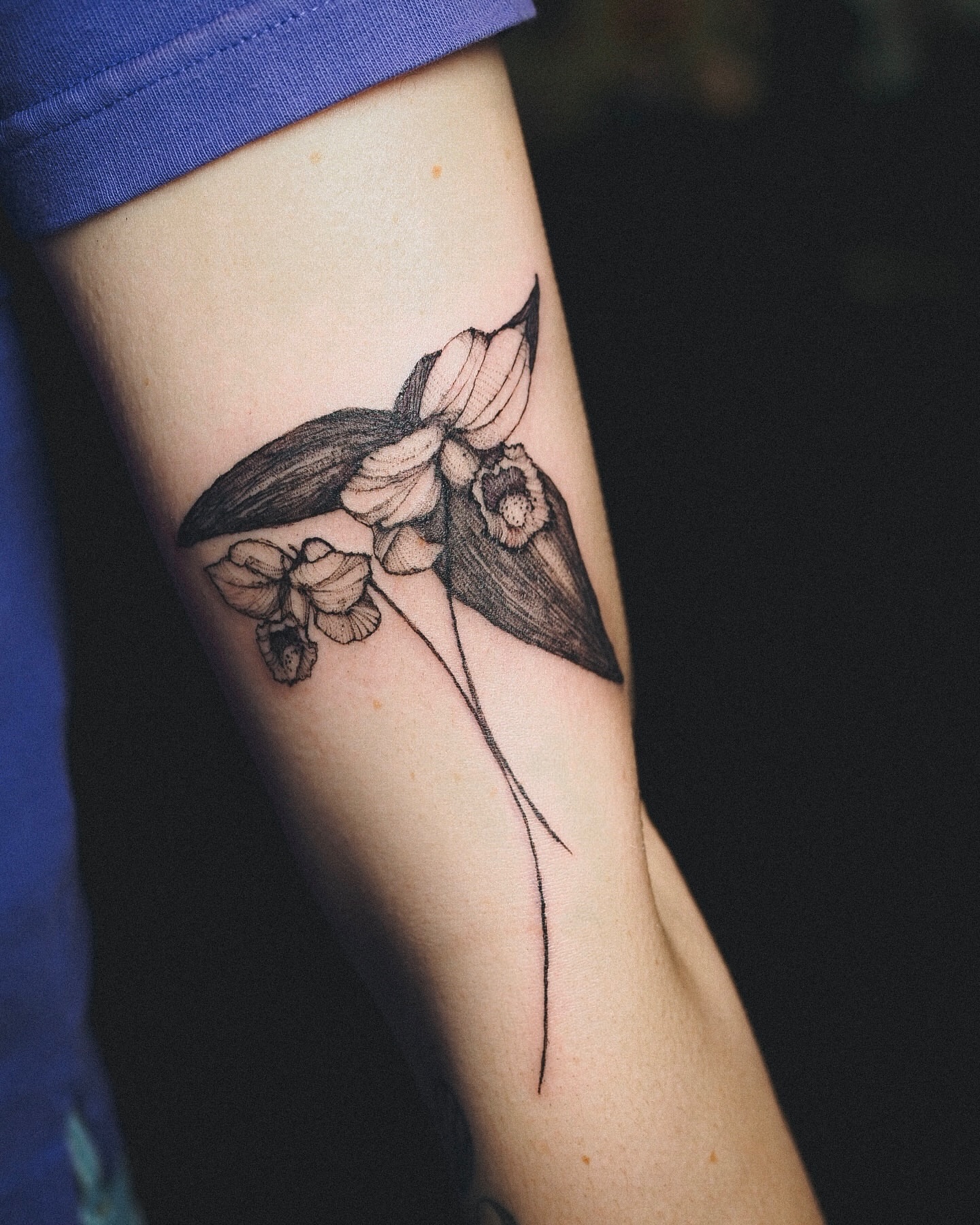 Orchid black and grey tattoo on the forearm by Inks by Nastia