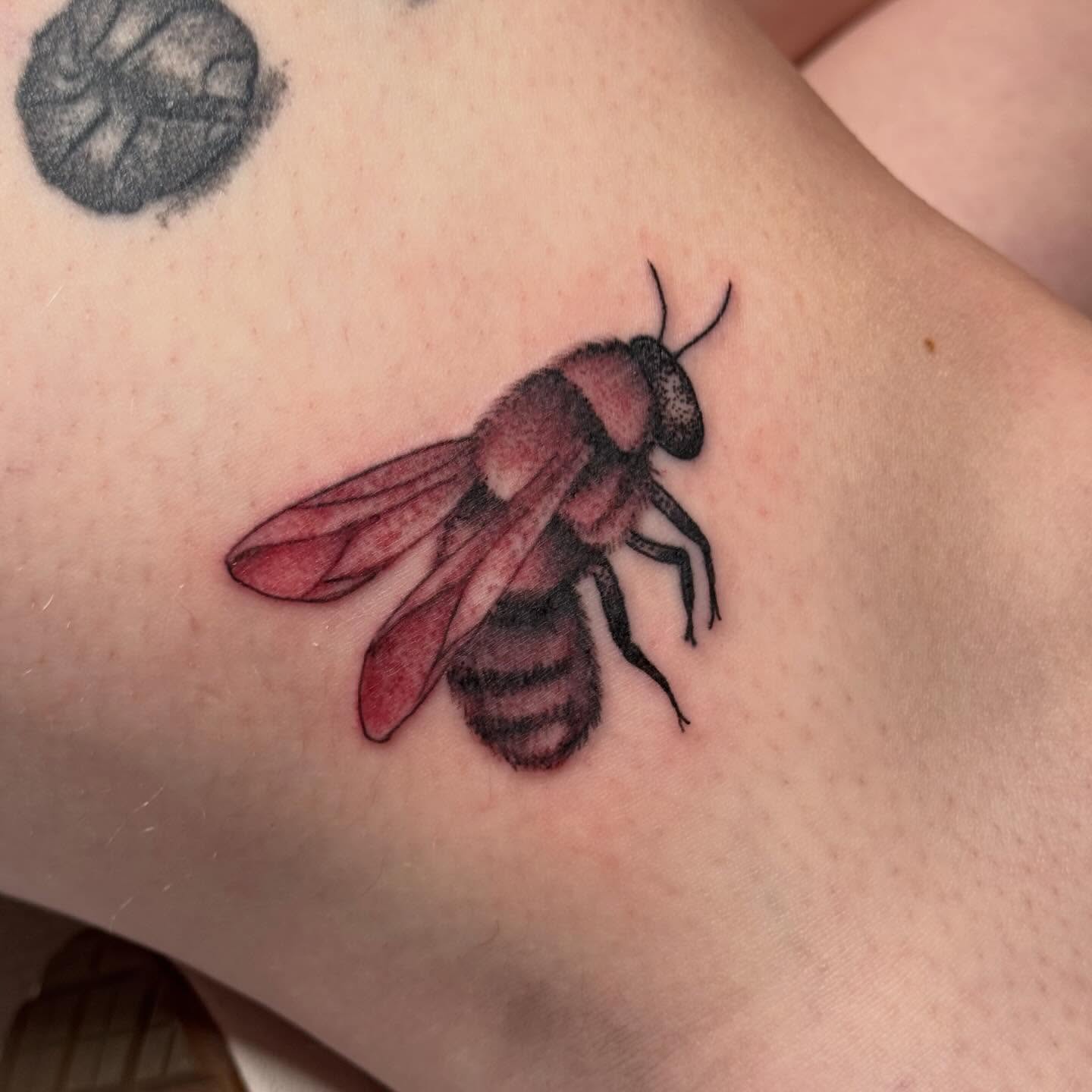 Bee realism tattoo on the forearm by Jack Hatchet Tattoos