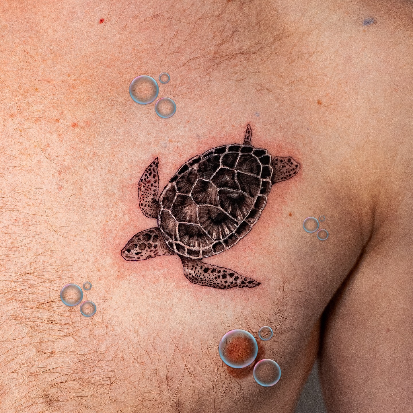 Sea turtle realism tattoo on the chest by Kalin, Seattle, Washington