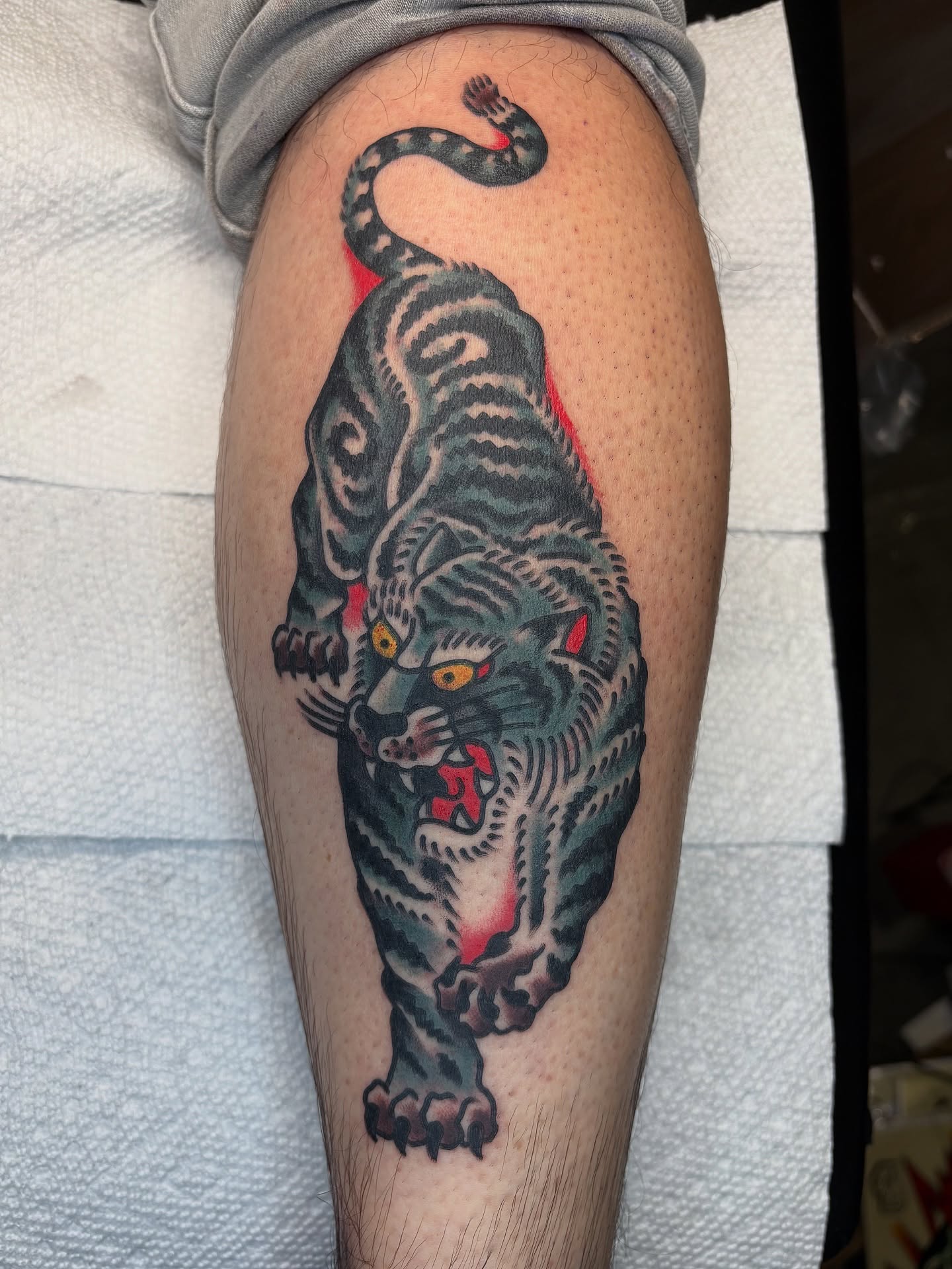 Tiger American traditional tattoo on the forearm by Andrew Silva