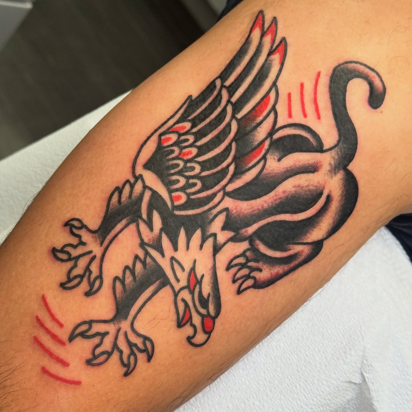 Phoenix American traditional tattoo on the forearm by Rafael Torres, San Francisco, California